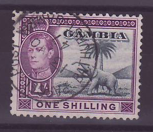 Gambie Gambia 1s Elephant Parcel Post Bathurst