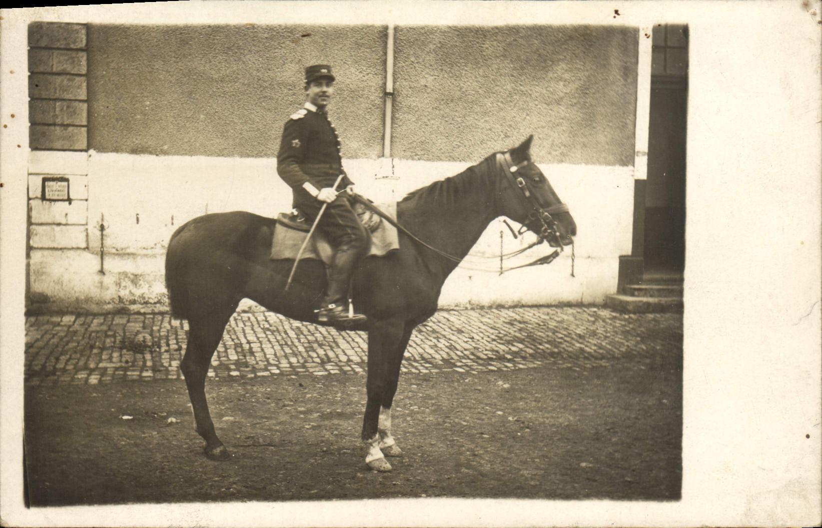 CARTE PHOTO Cheval Equitation Hippisme Militaria