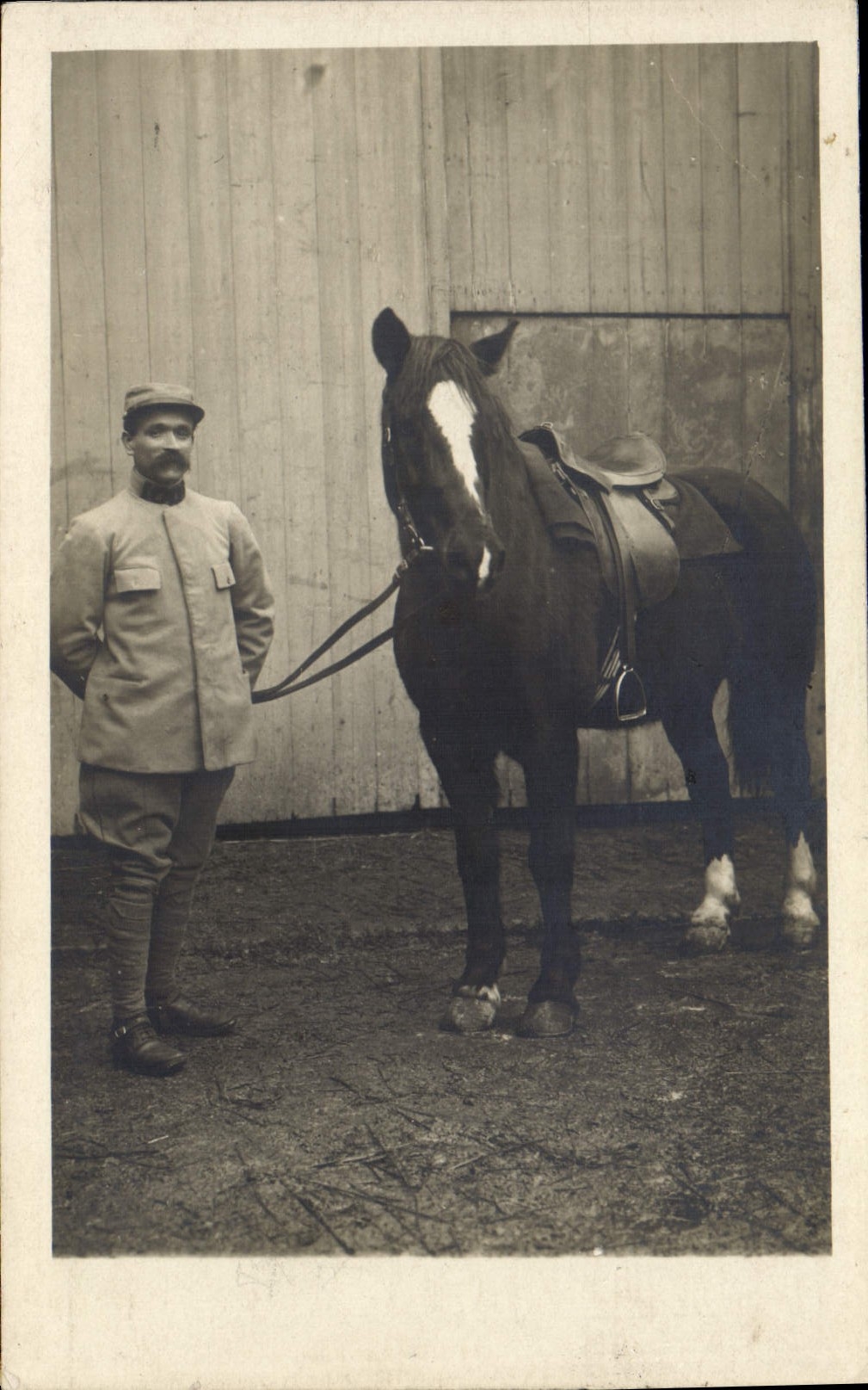 CARTE PHOTO Cheval Equitation Hippisme Militaria