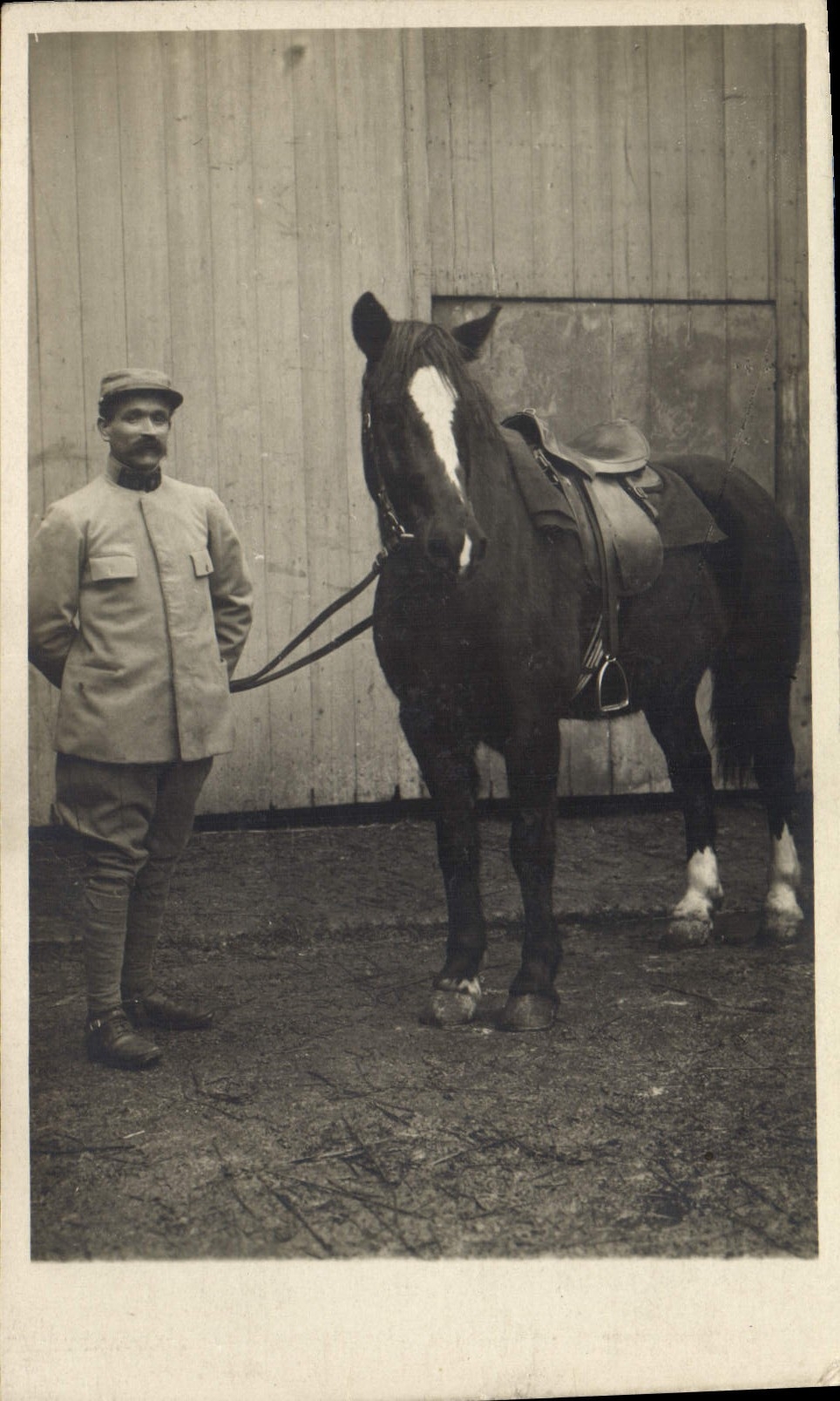 CARTE PHOTO Cheval Equitation Hippisme Militaria