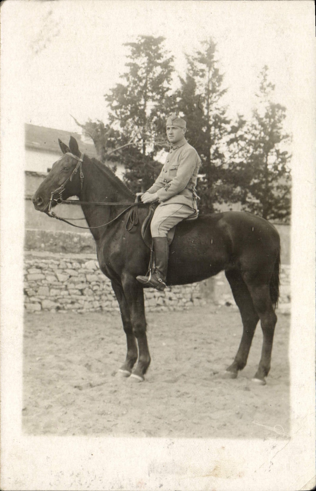 CARTE PHOTO Cheval Equitation Hippisme Militaria 