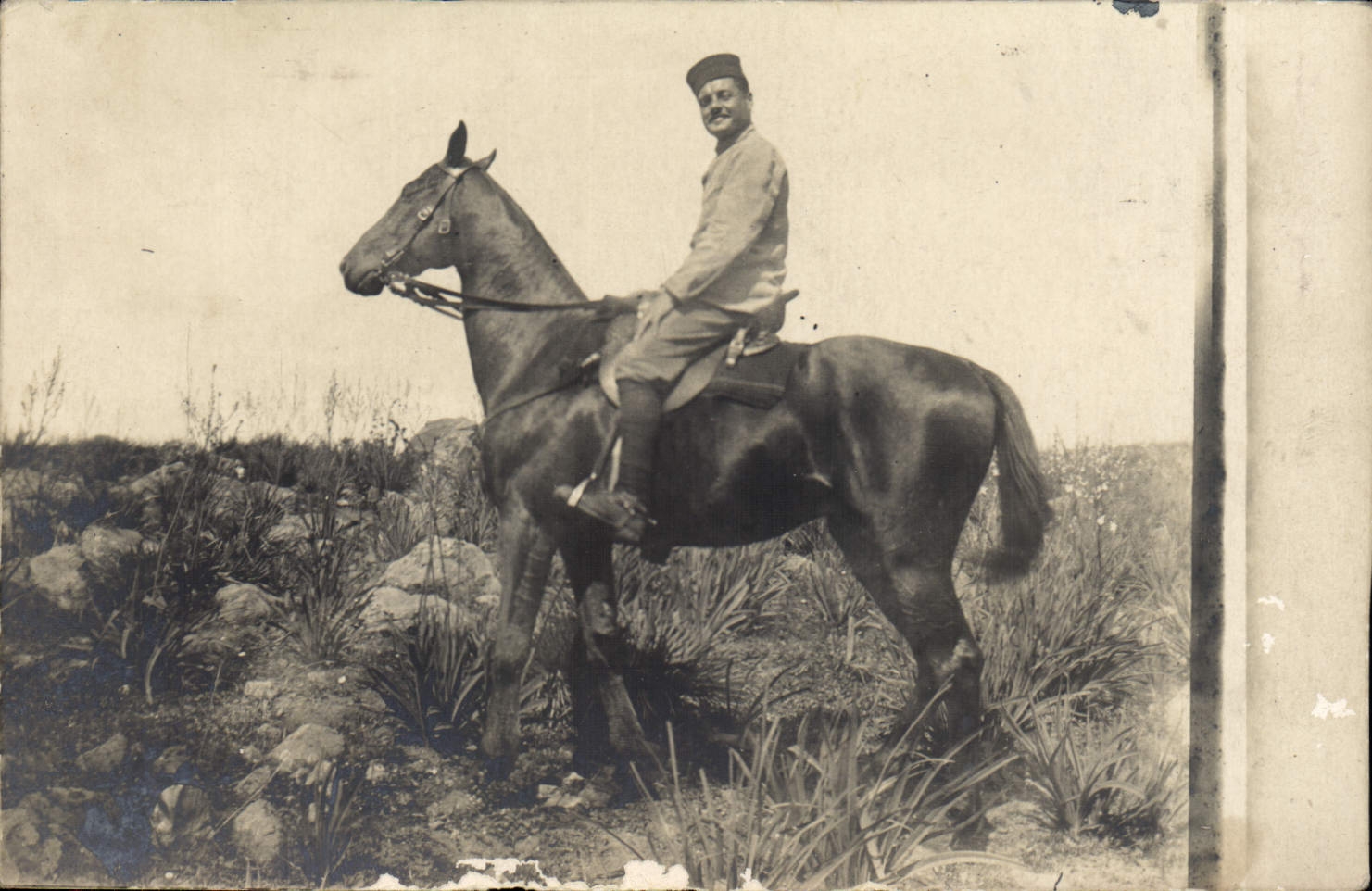 CARTE PHOTO Cheval Equitation Hippisme Militaria 