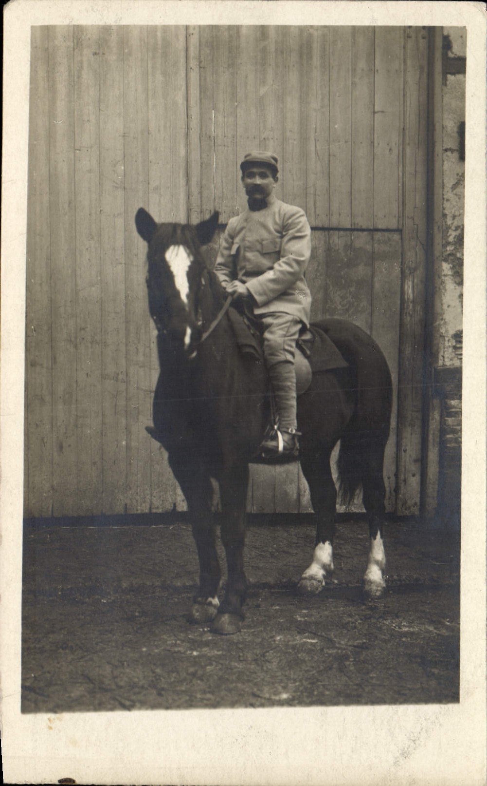 CARTE PHOTO Cheval Equitation Hippisme Militaria 