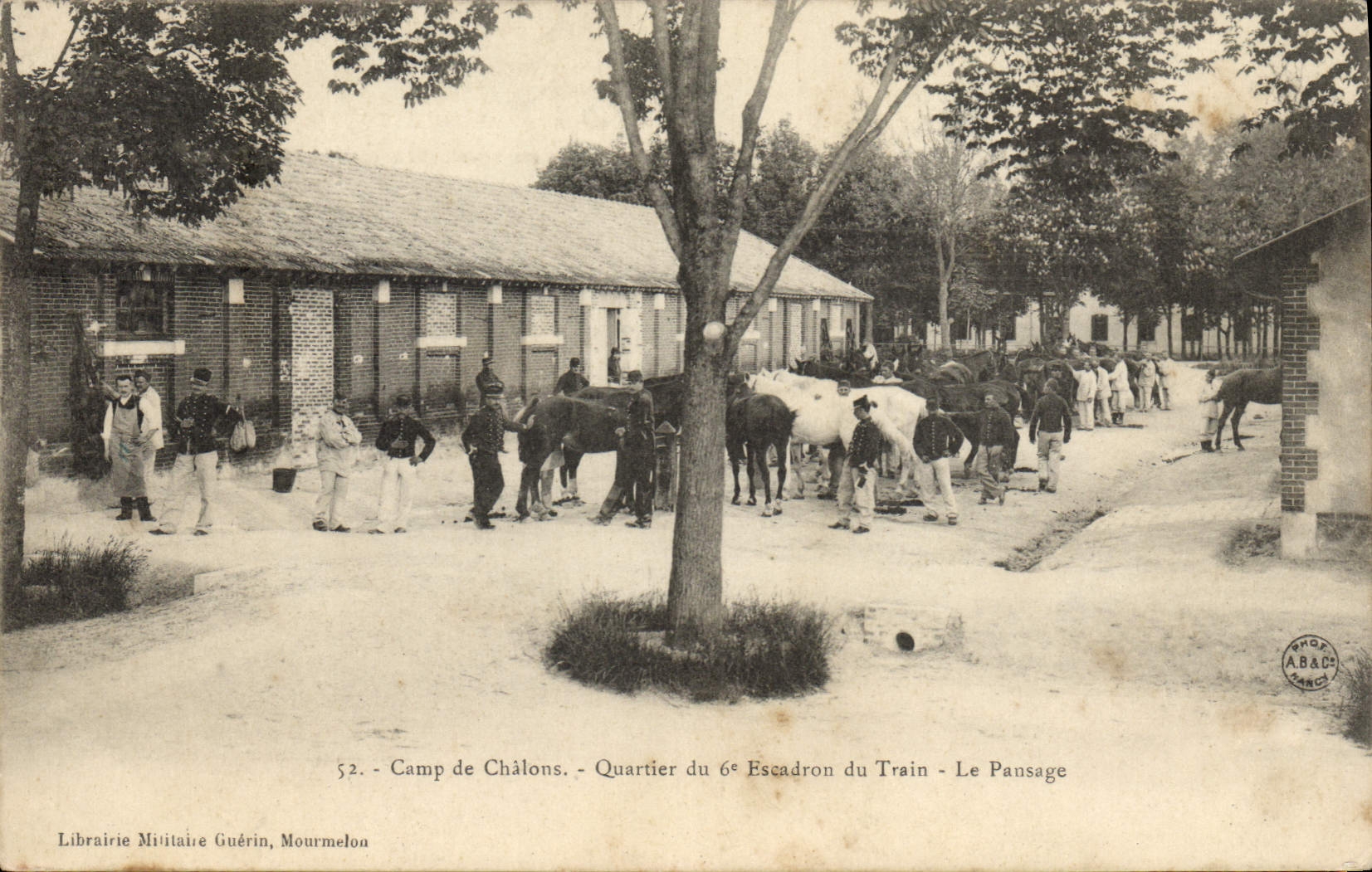 CPA Cheval Equitation Hippisme Camp de Chalons Quartier du 6eme escadron du Train Le pansage Militaria 