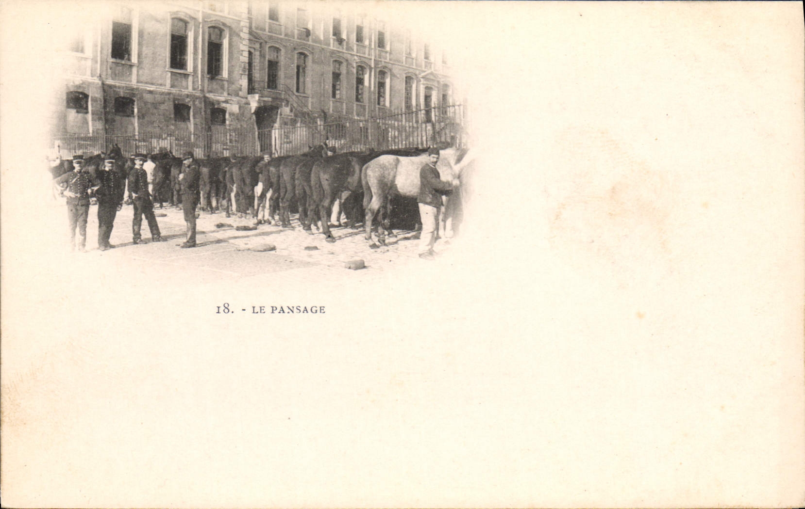 Postal Caballo Equitación Hípica la limpieza Militaria