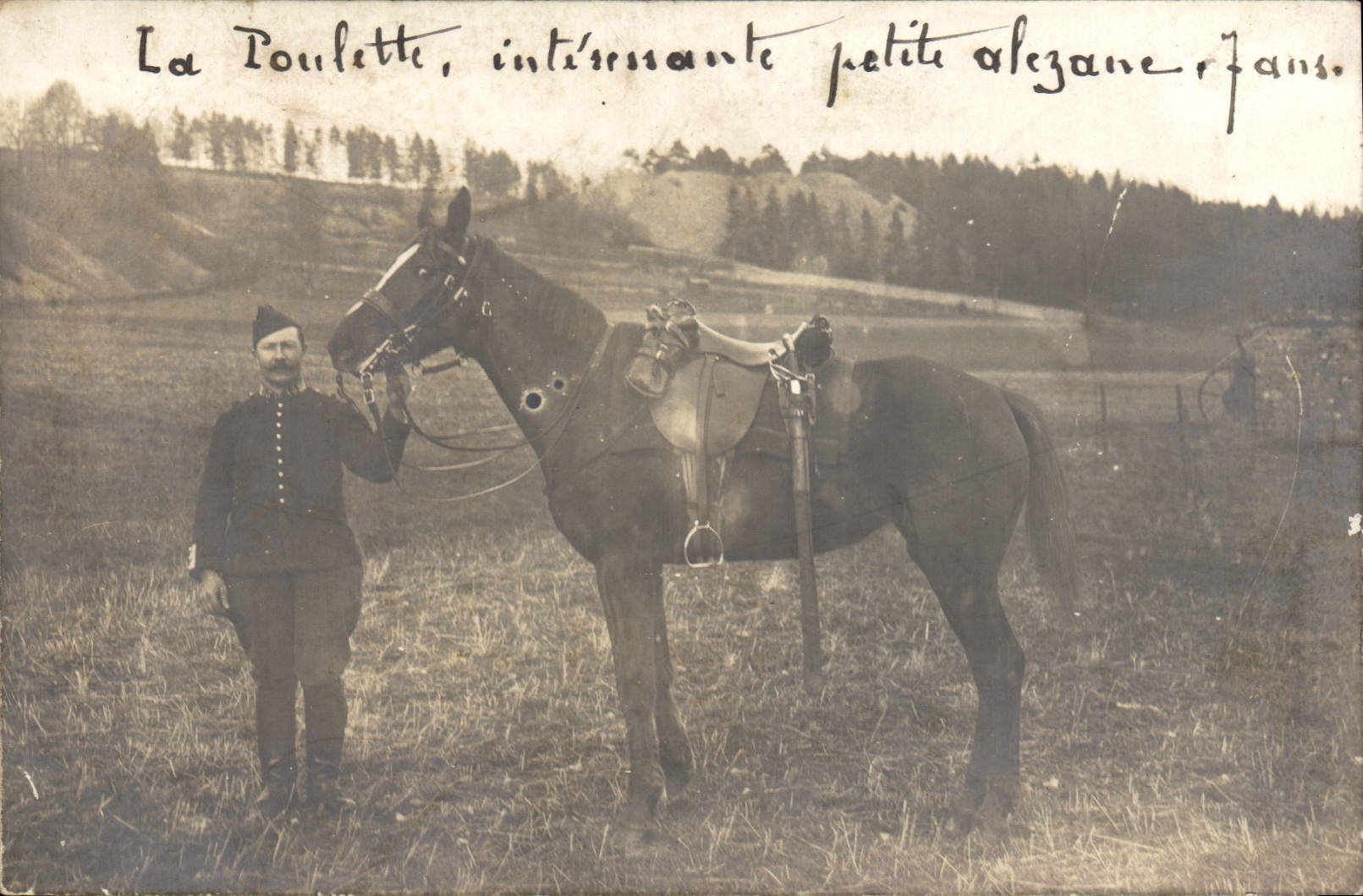 CARTE PHOTO Cheval Equitation Hippisme La Poulette Alezane 7 ans Militaria 