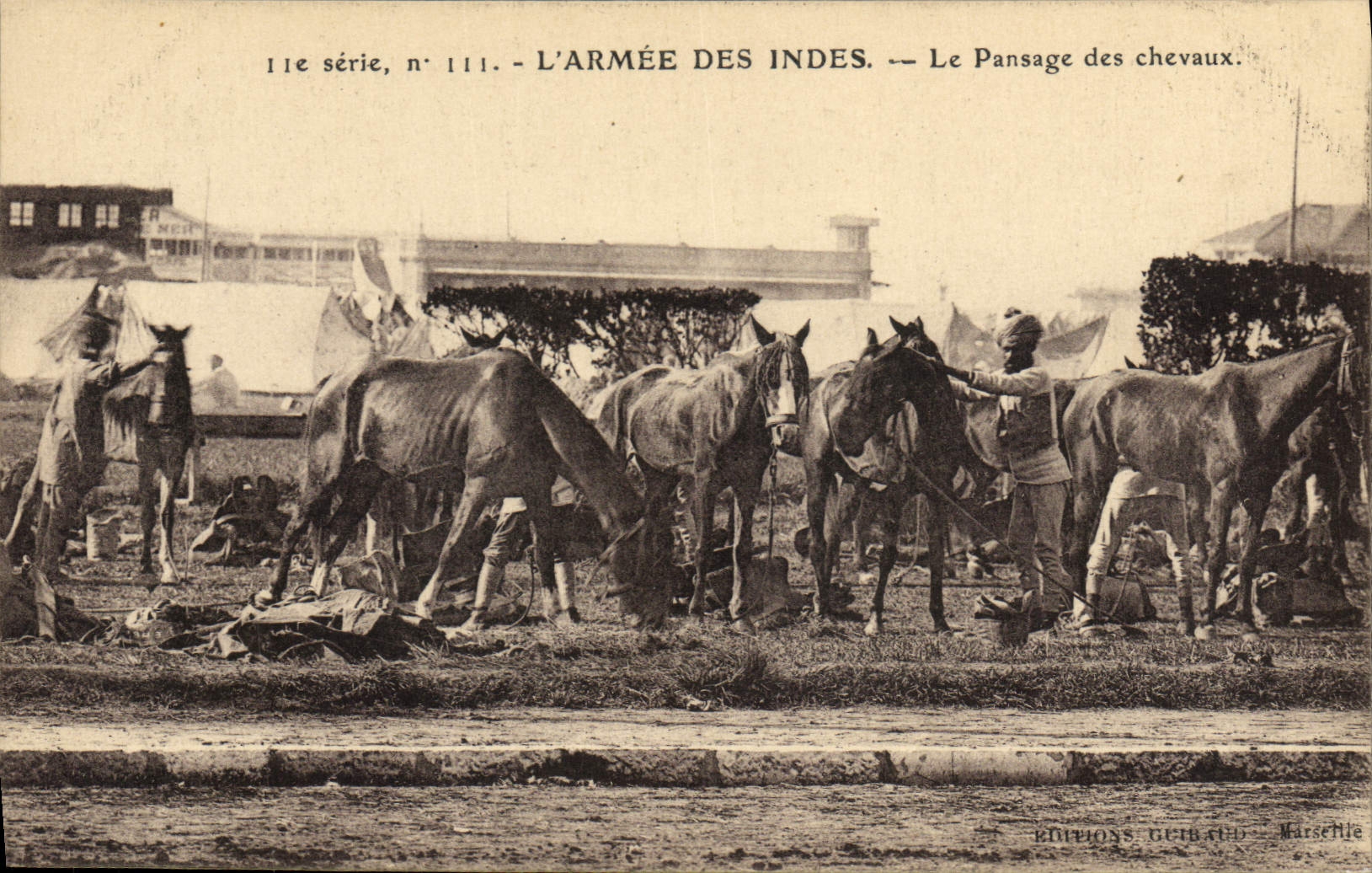 CPA Cheval Equitation Hippisme L'armee des Indes Le pansage des chevaux Militaria