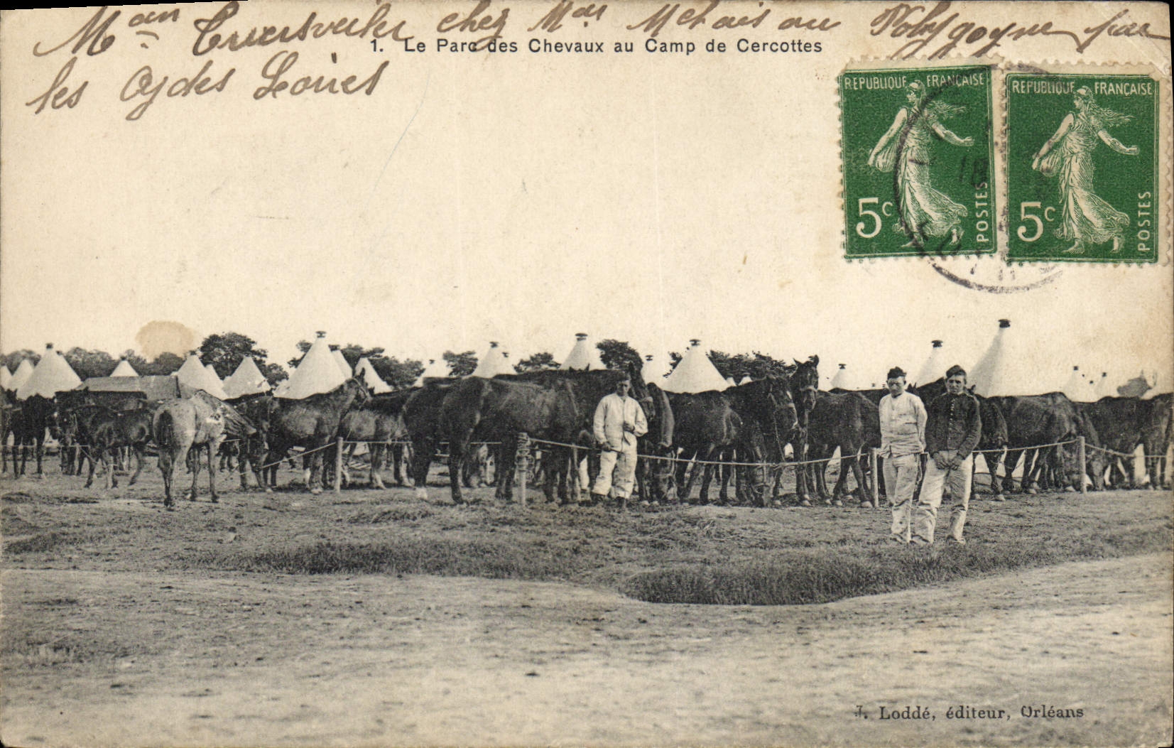 Postal Caballo Equitación Hípica el parque de los caballos al Campo de Cercottes