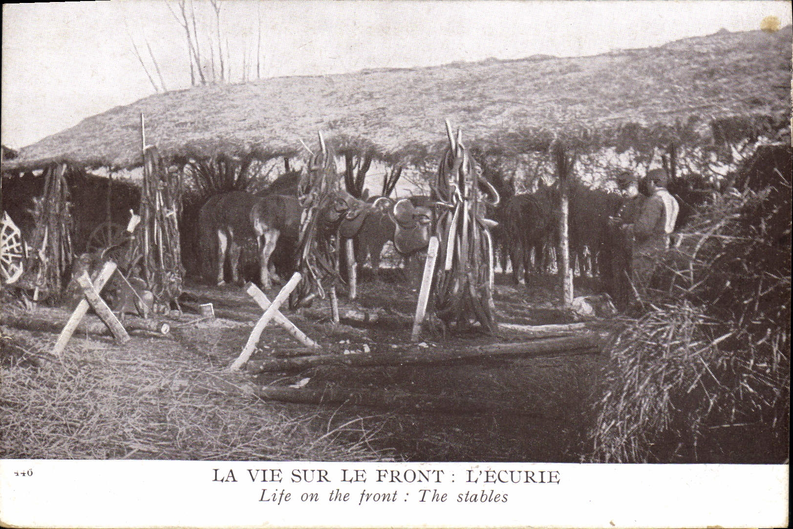 CPA Cheval Equitation Hippisme La vie sur le front L'ecurie Militaria