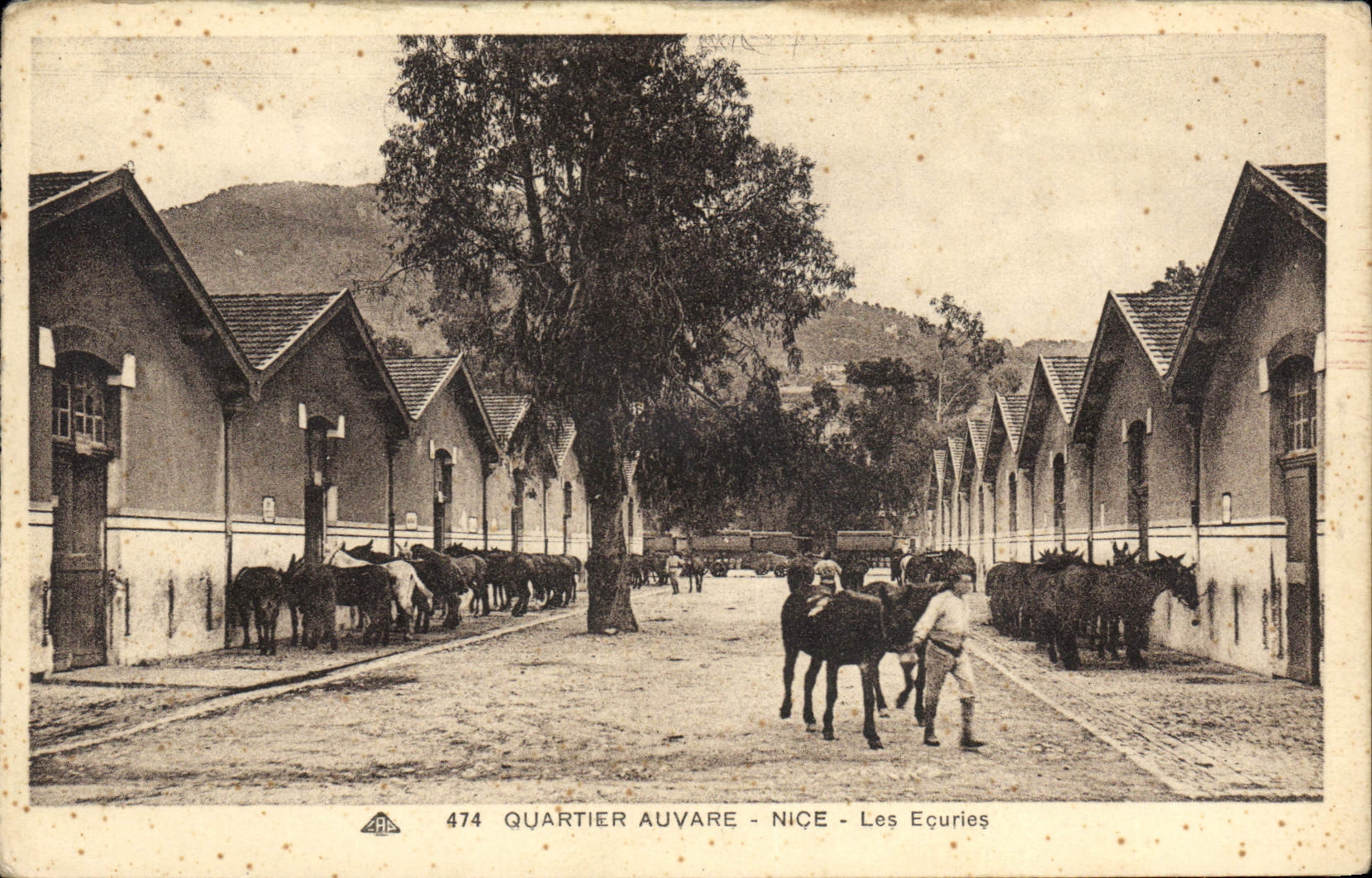 CPA Cheval Equitation Hippisme Quartier Auvare Nice les ecuries