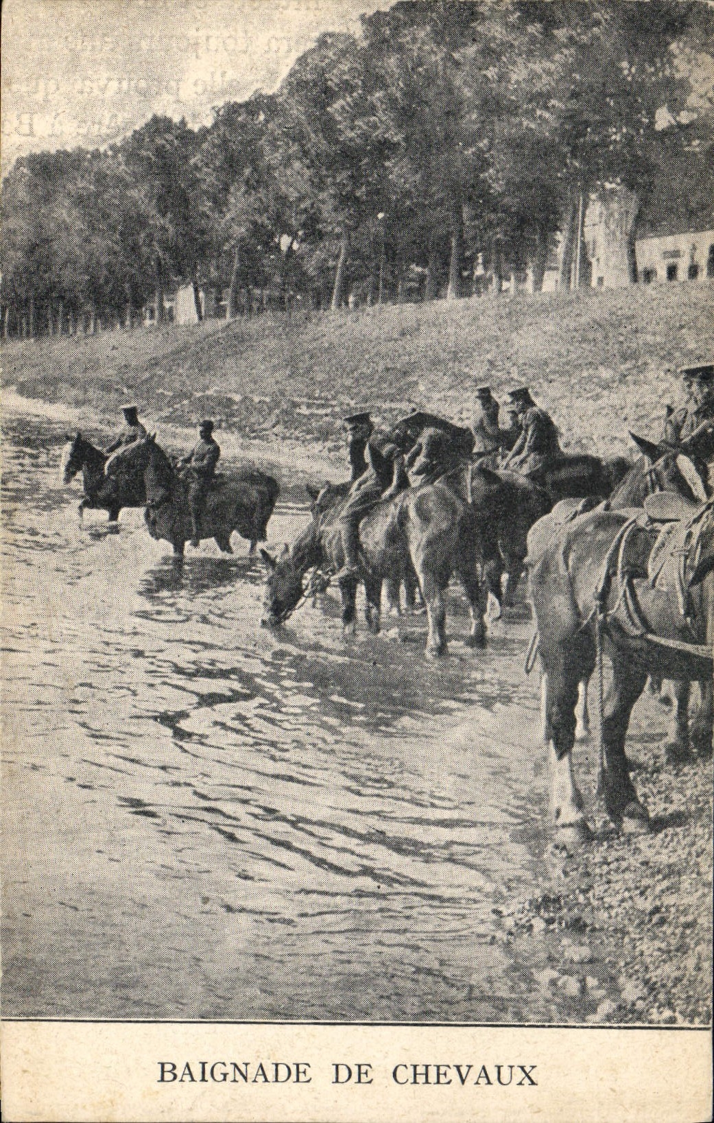 Postal Caballo Equitación Hípica Baño de caballos Militaria