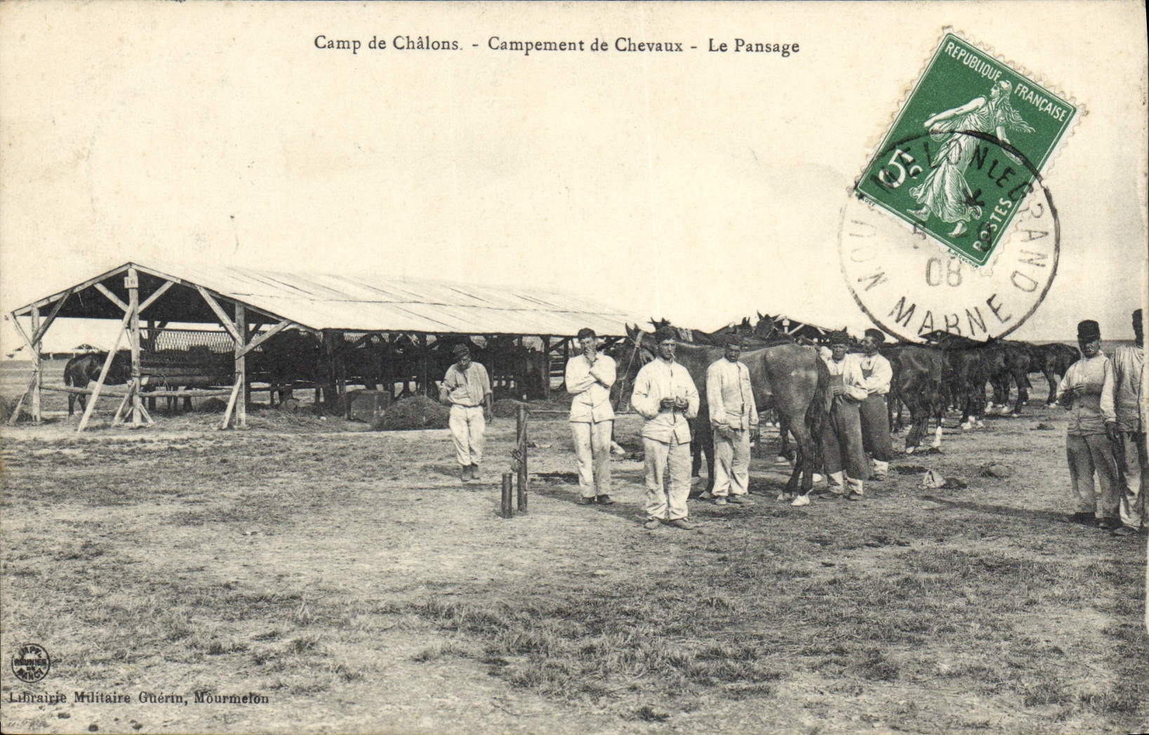 CPA Cheval Equitation Hippisme Camp de Chalons Campement de chevaux Le pansage Militaria