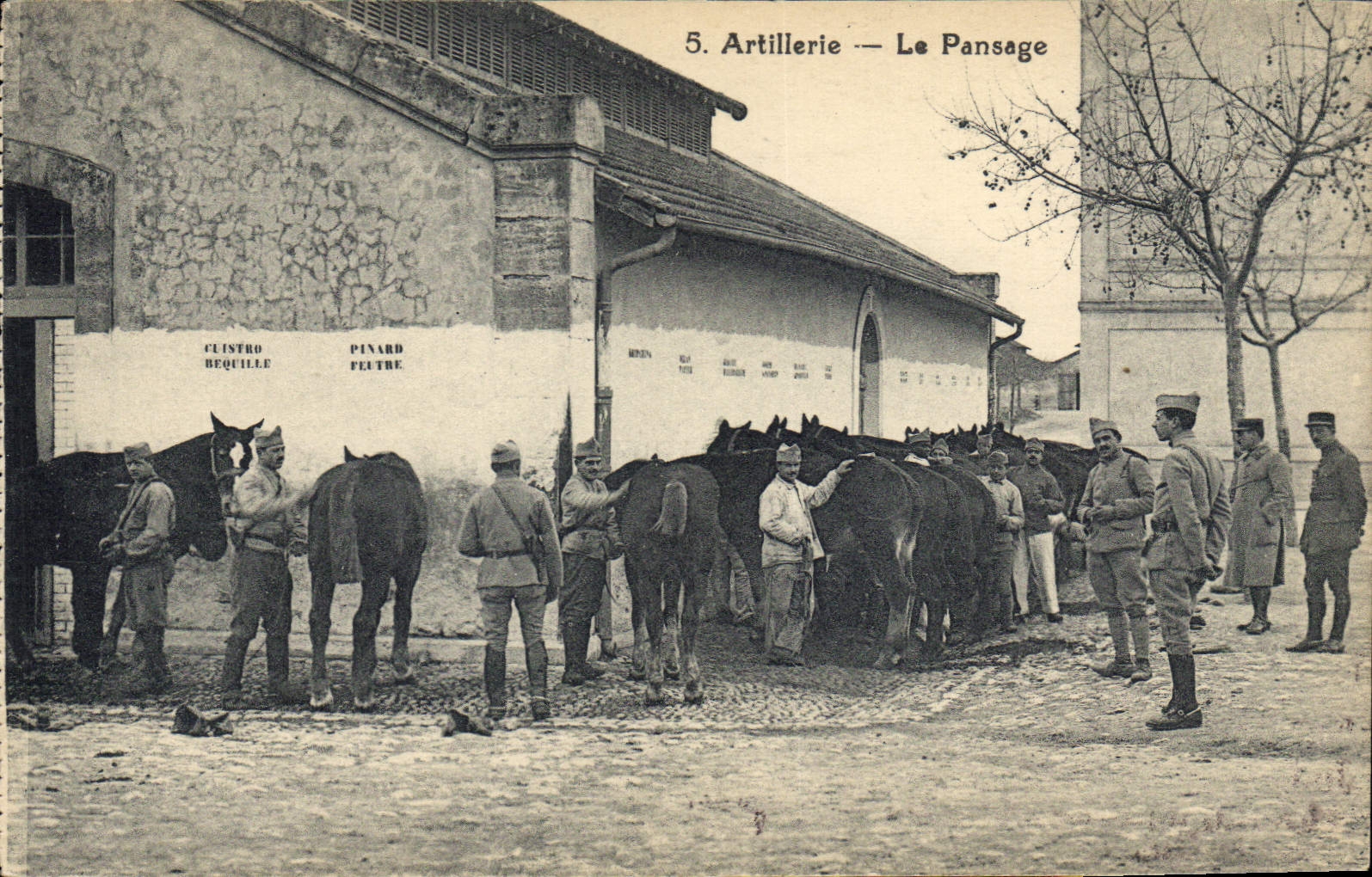 CPA Cheval Equitation Hippisme Artillerie Le pansage Militaria