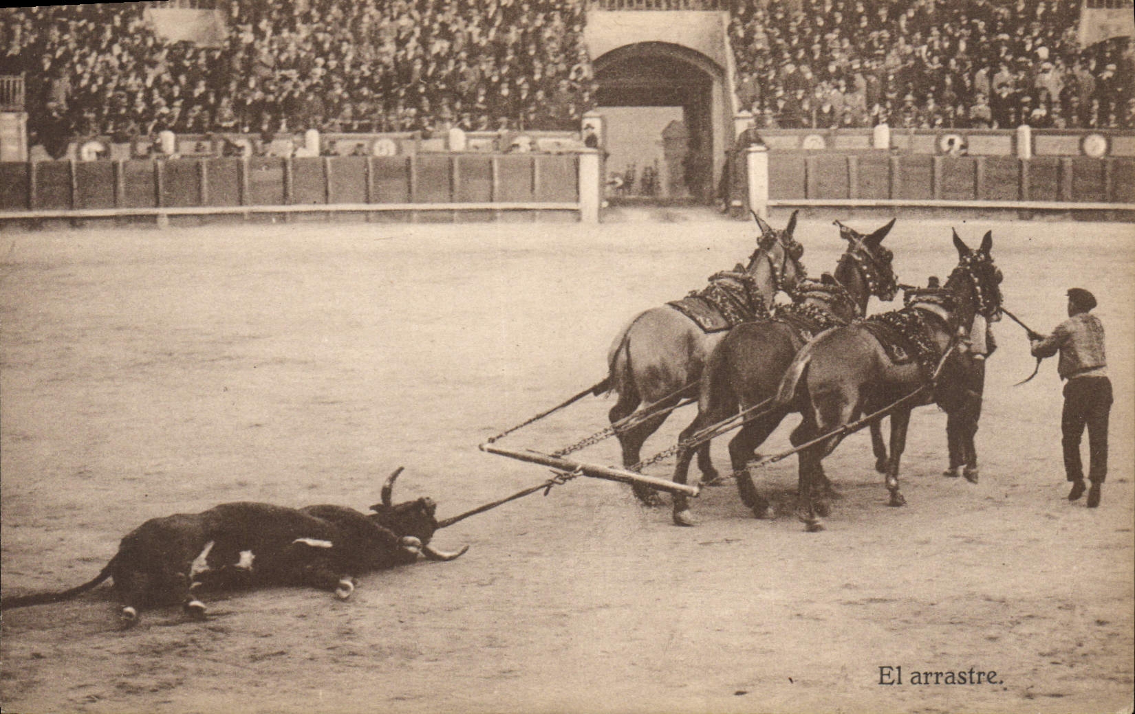 CPA Corrida Course de taureaux El arrastre 