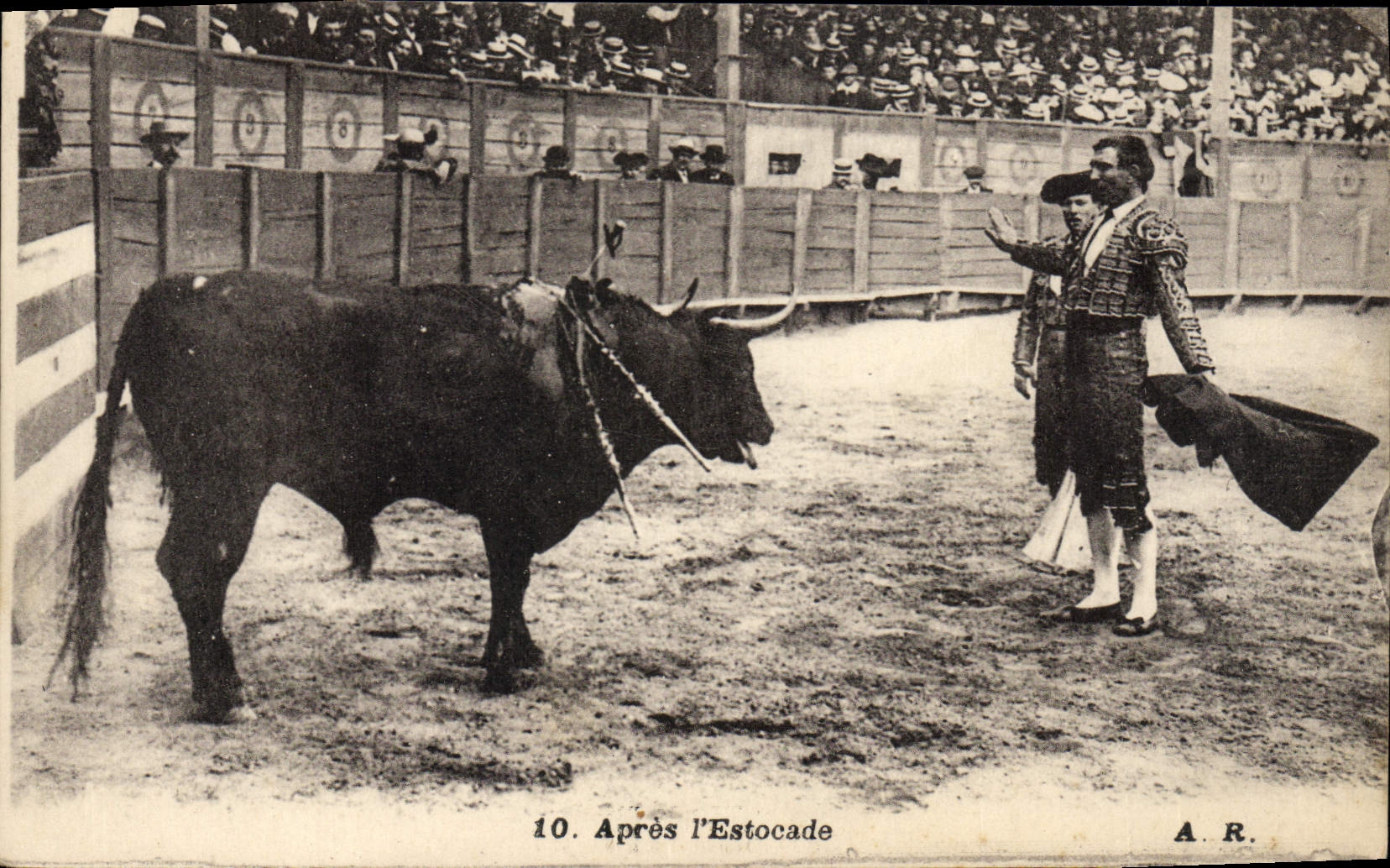 CPA Corrida Course de taureaux Apres l'estocade