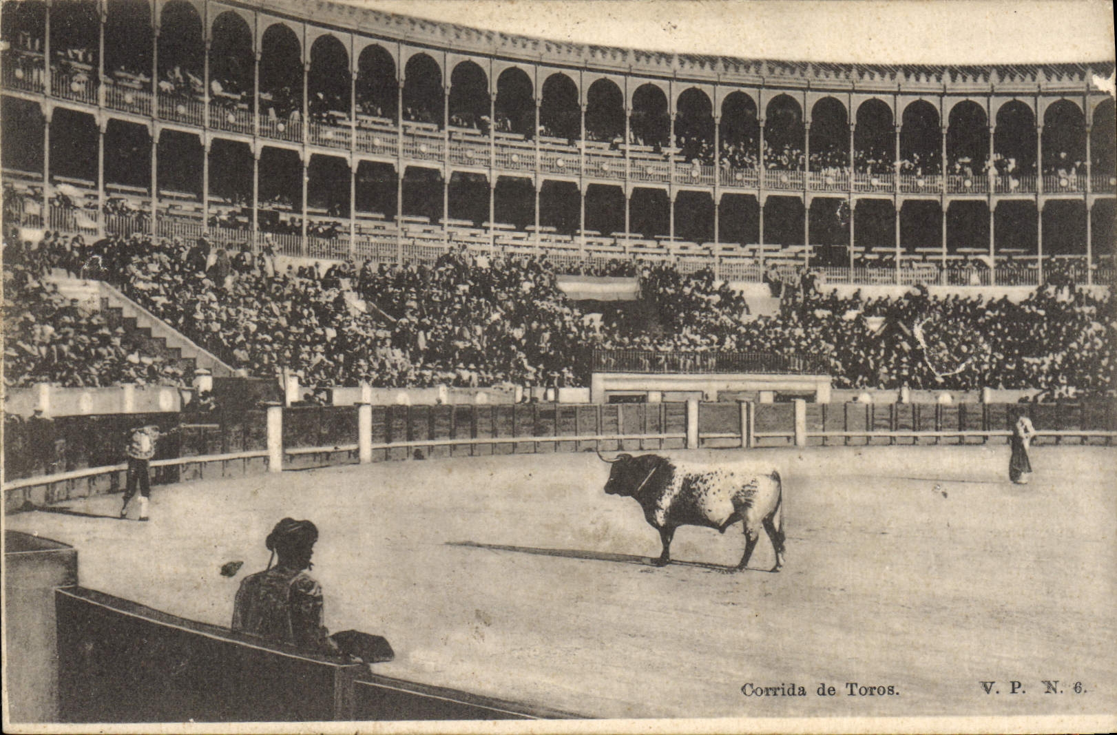 CPA Corrida Course de taureaux