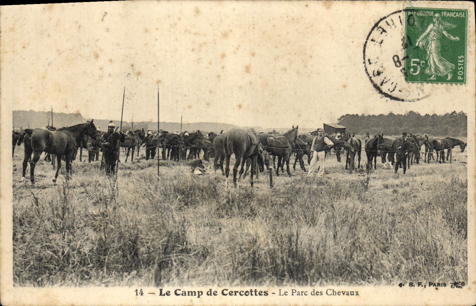 Postal Caballo Equitación Hípica el campo de Cercottes el parque de los caballos Militaria
