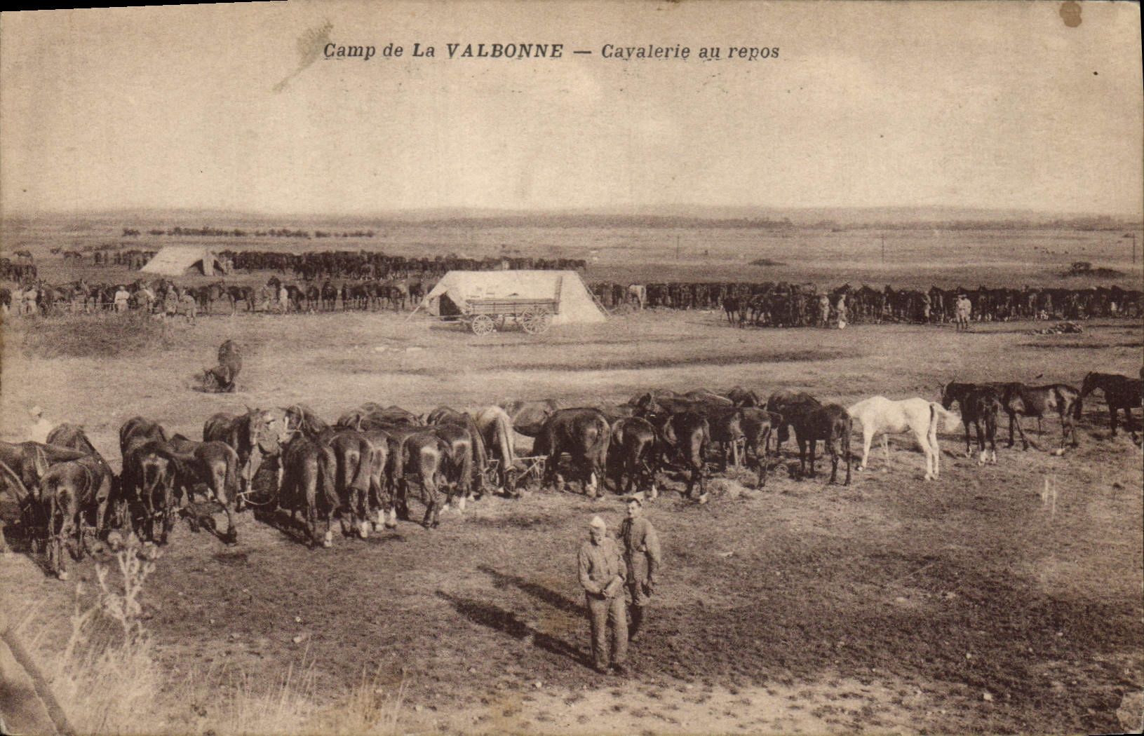 CPA Cheval Equitation Hippisme Camp de la Valbonne Cavalerie au repos Militaria