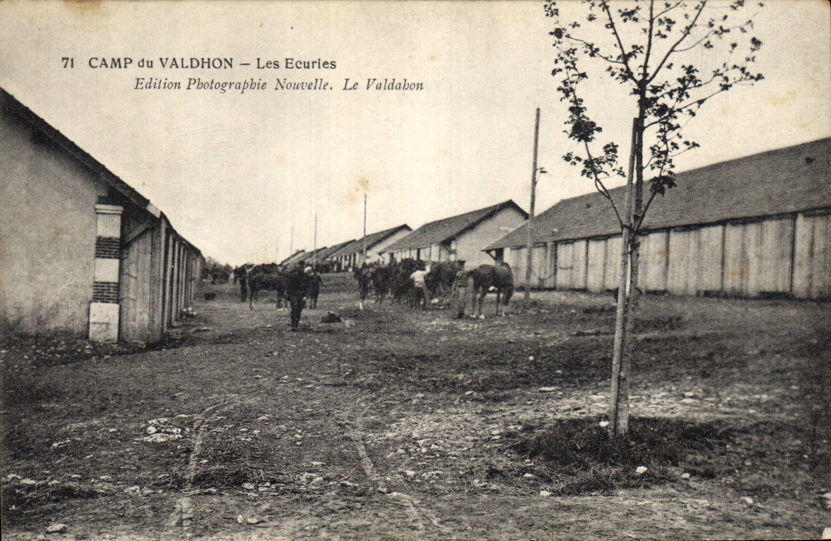 CPA Cheval Equitation Hippisme Camp du Valdhon Les ecuries Militaria Valdahon 
