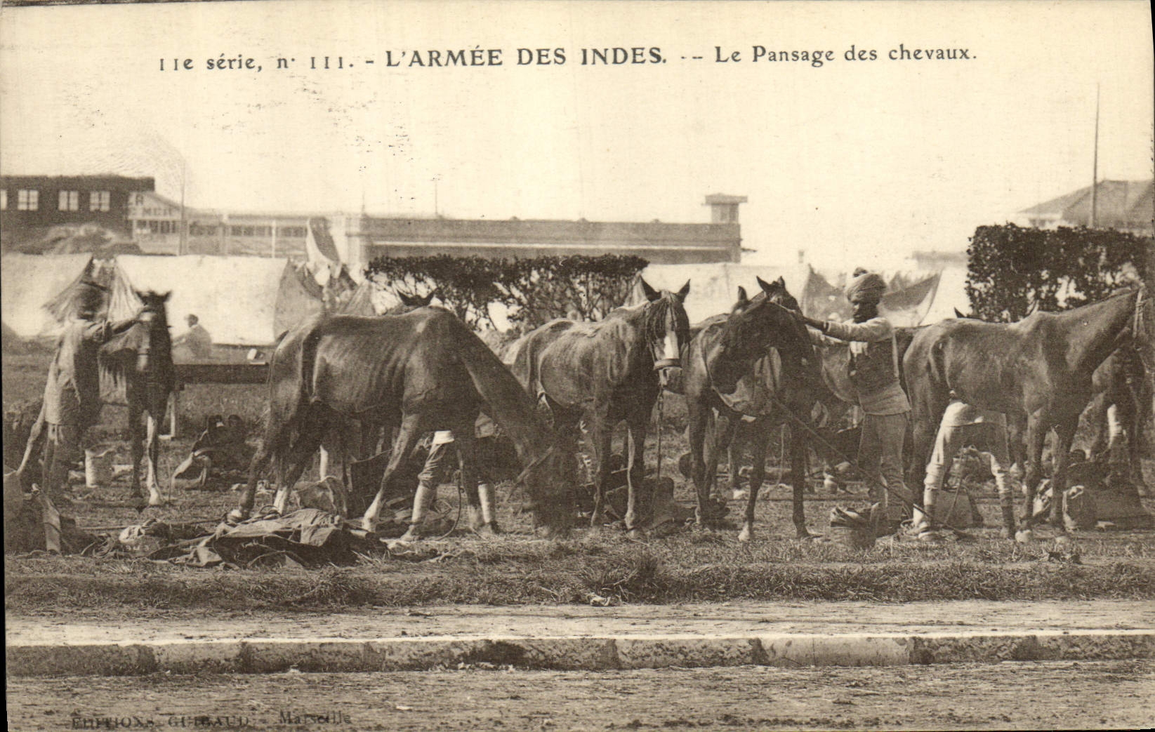 CPA Cheval Equitation Hippisme L'armee des Indes Le pansage des chevaux Militaria 