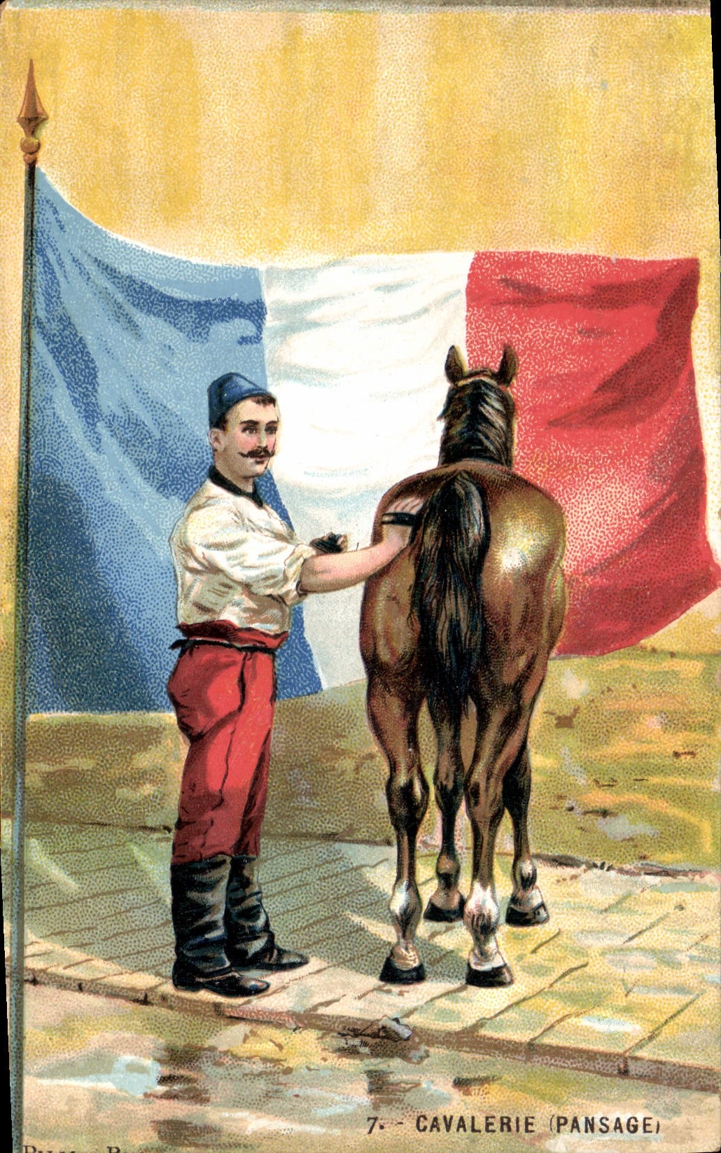 Postal Caballo Equitación Hípica Caballería Limpieza