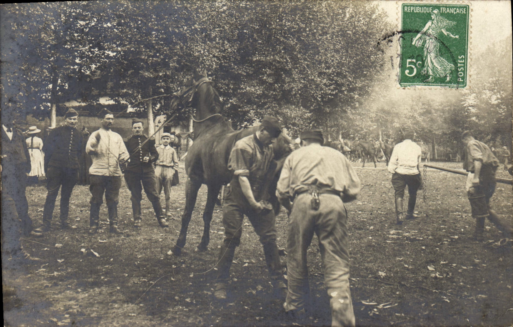 CARTE PHOTO Cheval Equitation Hippisme Ferronnerie Forge 
