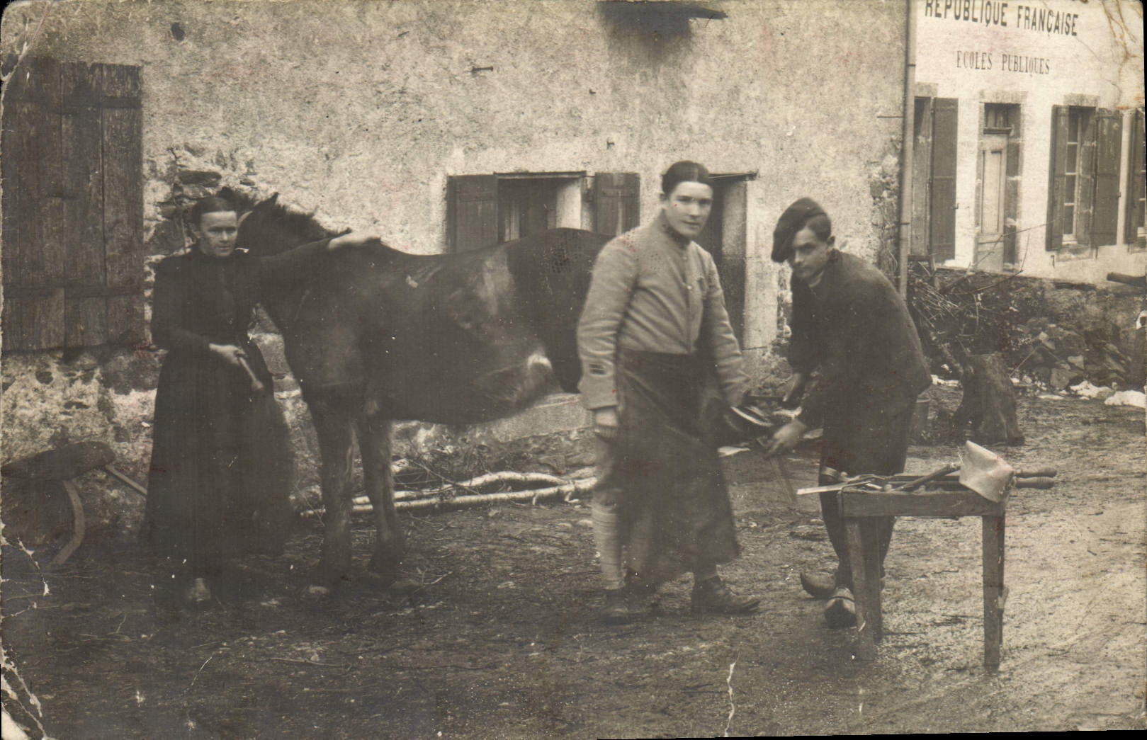 CARTE PHOTO Cheval Equitation Hippisme