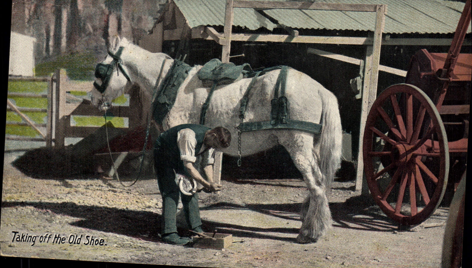 Postal Caballo Equitación Hípica Taking apagado the old shoe Mariscal que Calza Militaria