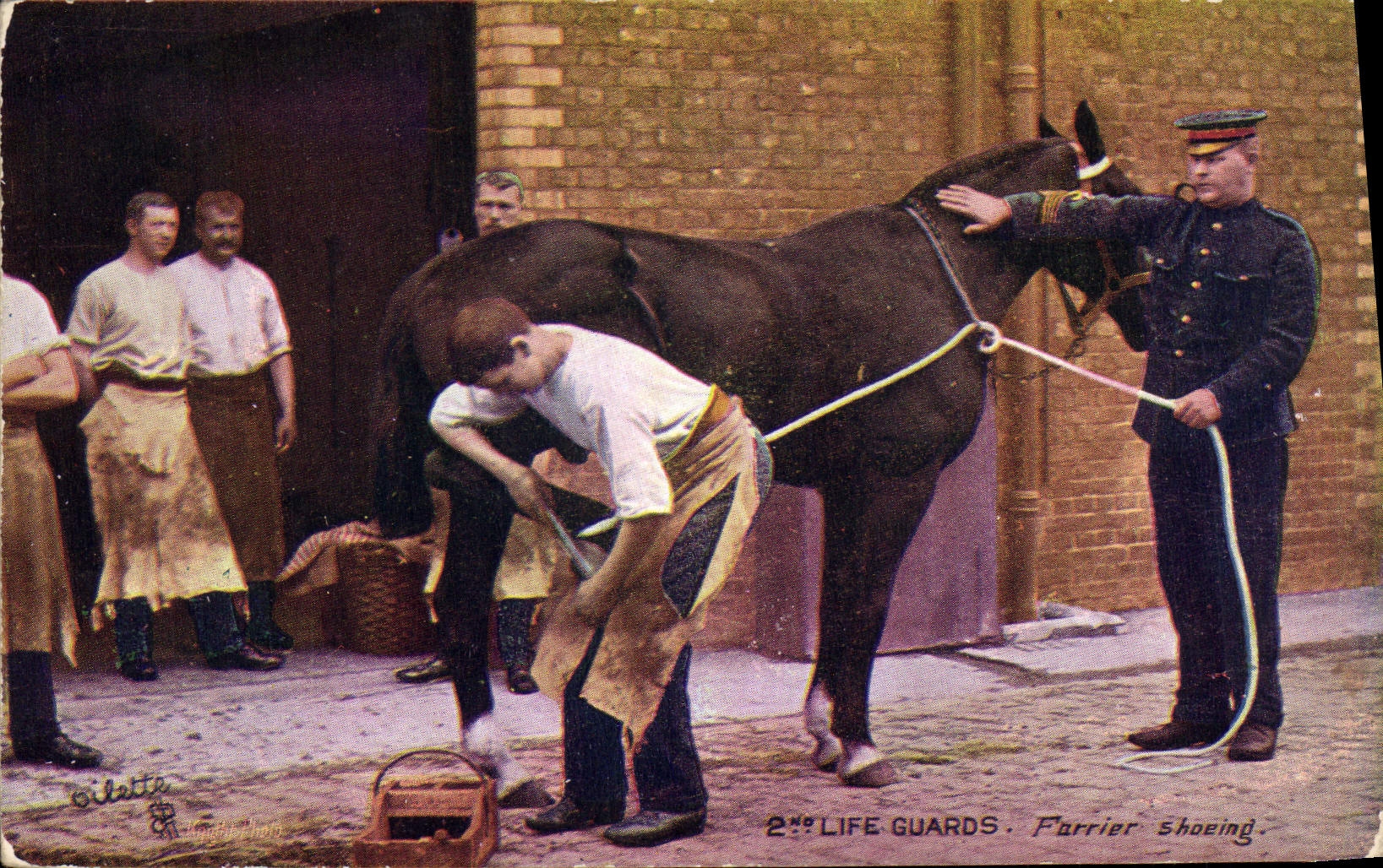 CPA Cheval Equitation Hippisme 2md Life Guard Farrier shoeing Militaria