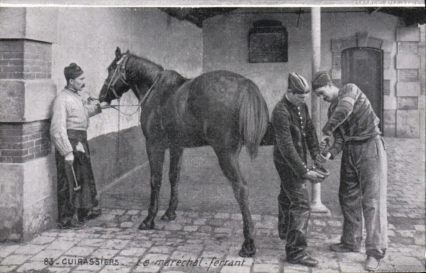 Postal Caballo Equitación Hípica Coraceros el mariscal que calza Militaria