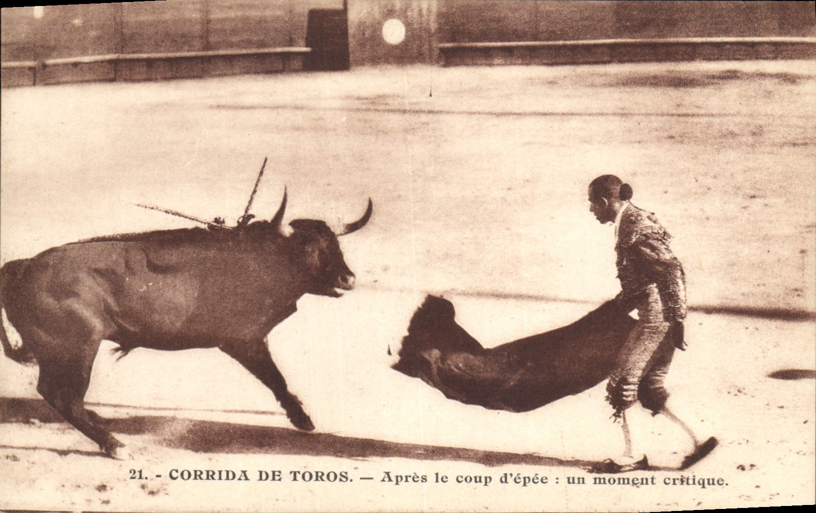CPA Corrida Course de taureaux Apres le coup d'epee un moment critique