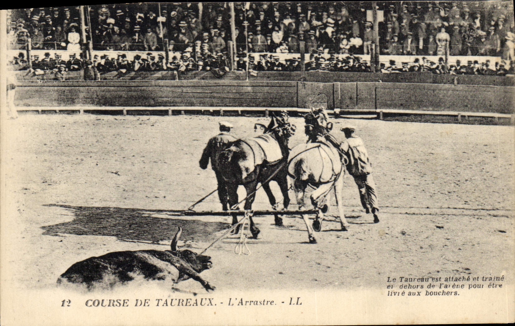 CPA Corrida Course de taureaux L'arrastre