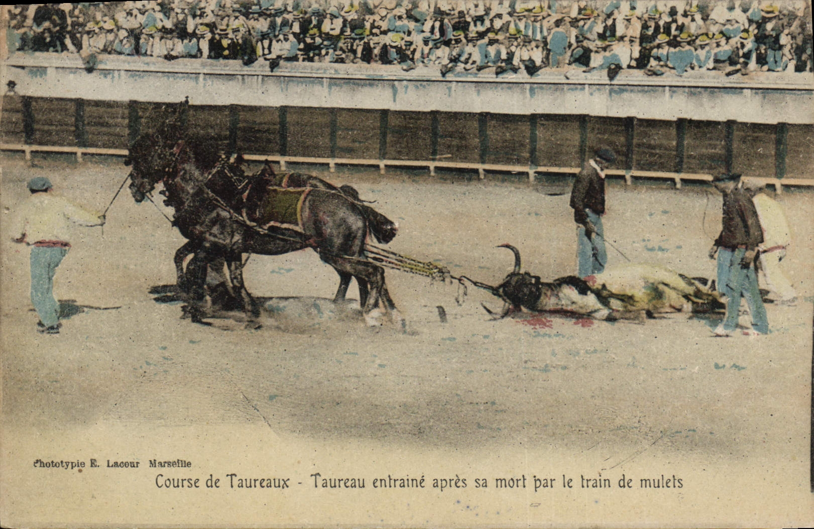 CPA Corrida Course de taureaux Taureau entraine apres sa mort par le train de mulets