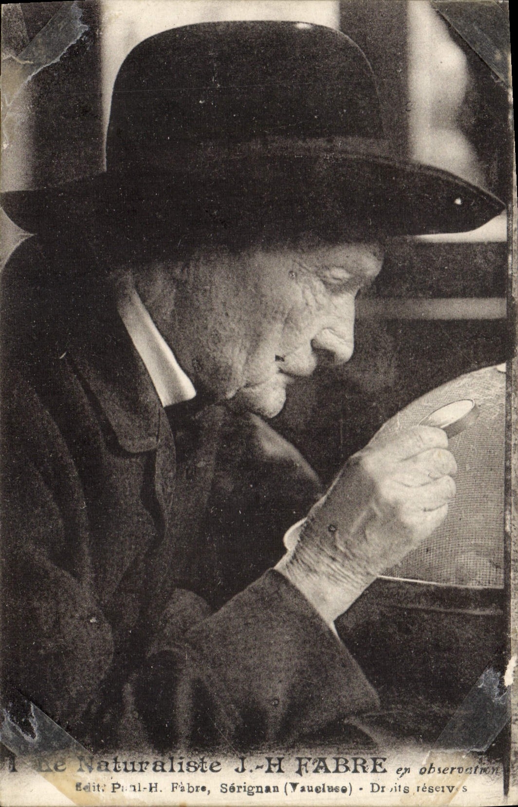 CPA Le naturaliste Henri Fabre 