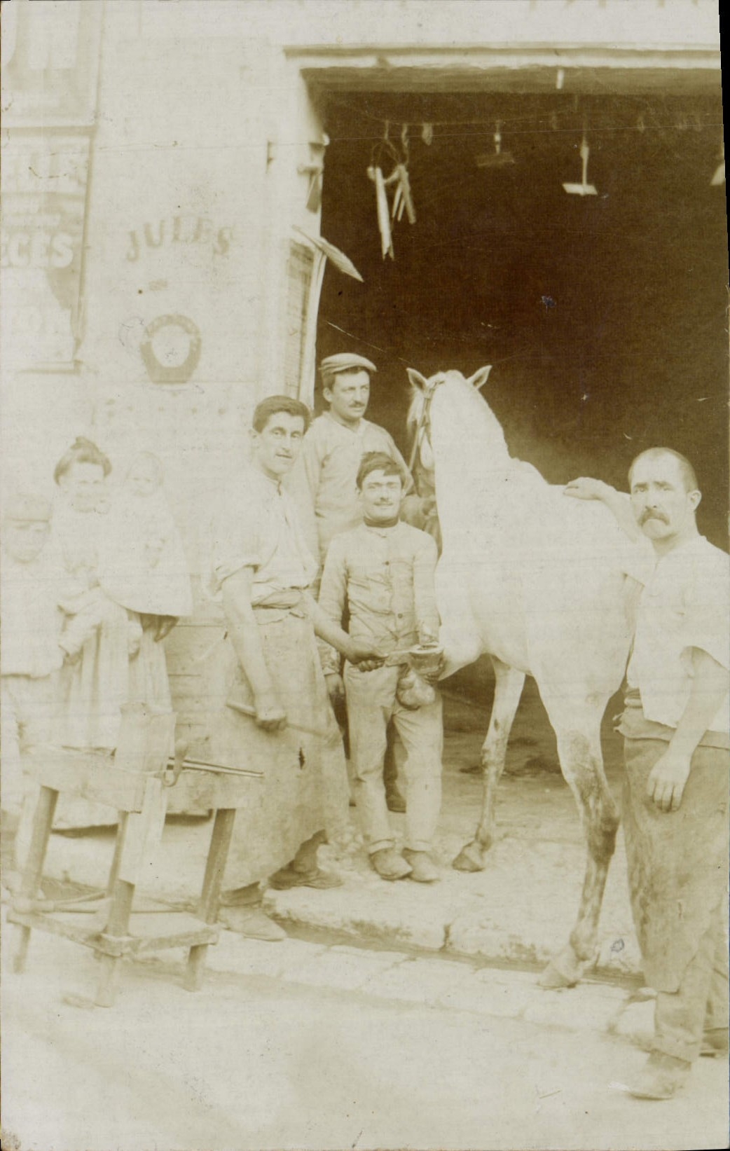 CARTE PHOTO Cheval Hippisme Equitation Marechal Ferrant Jules 