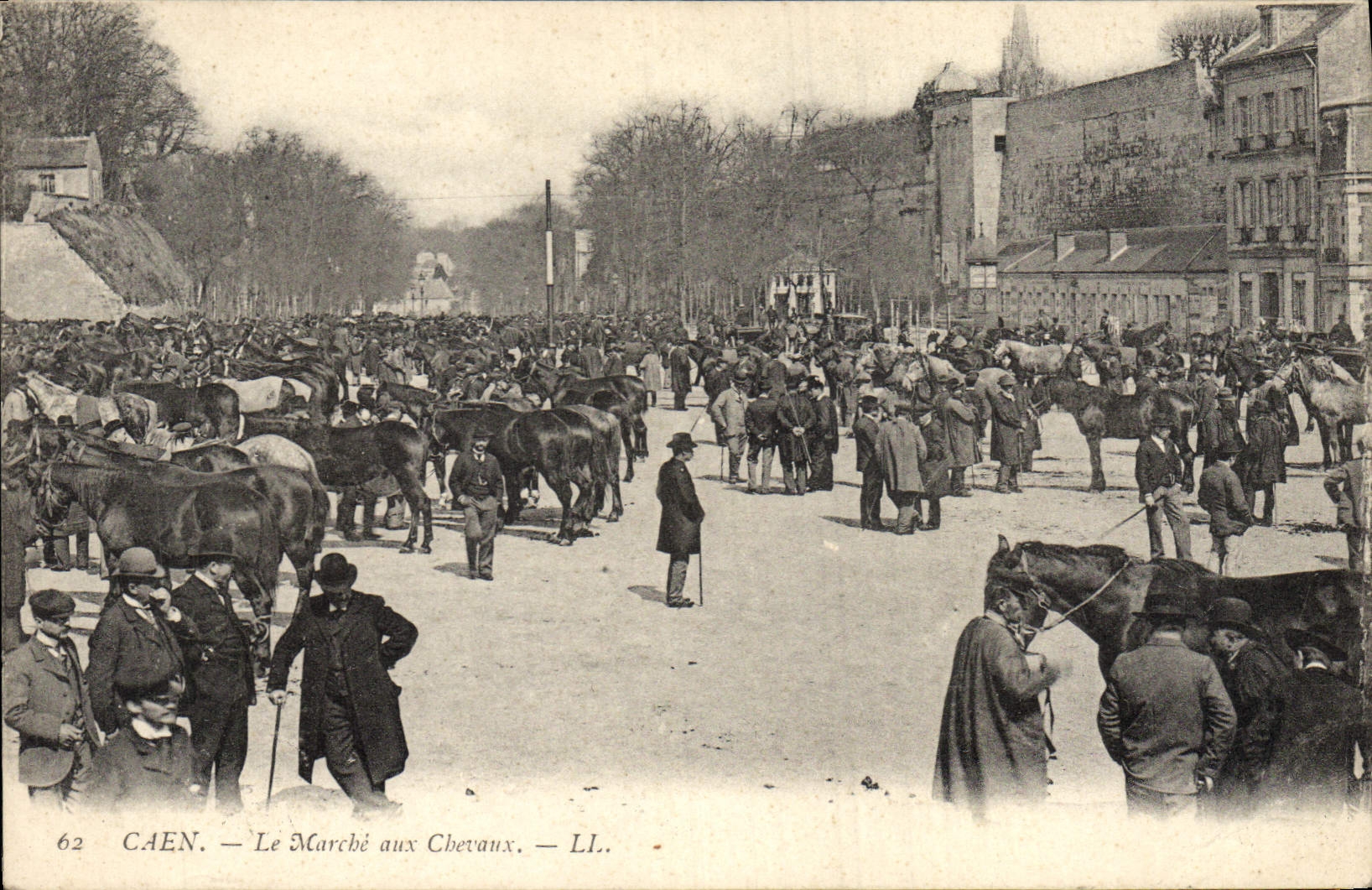Postal Caballo Hípica Equitación Caen lo va a los caballos