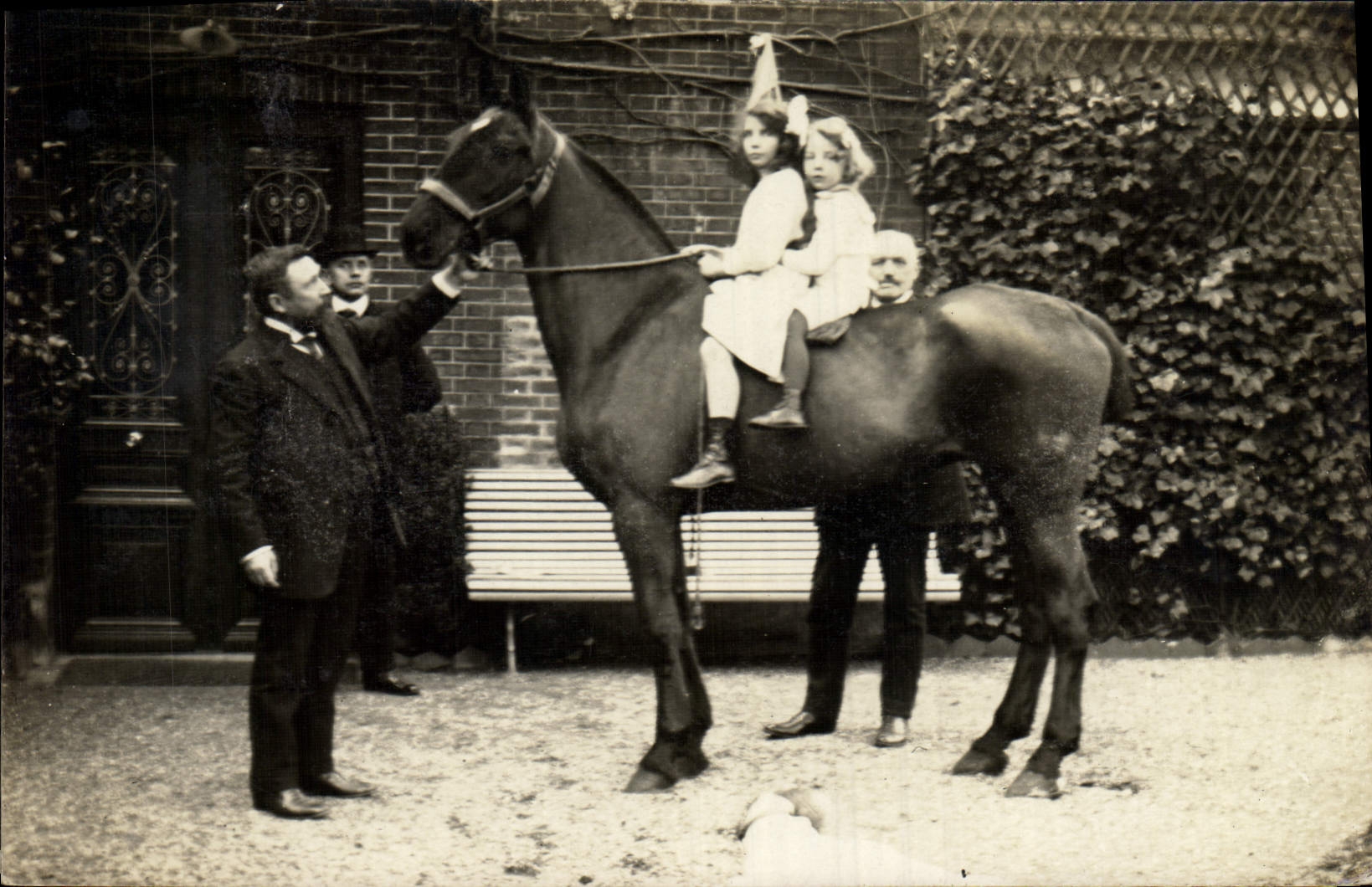 CARTE PHOTO Enfants Cheval Hippisme Equitation 