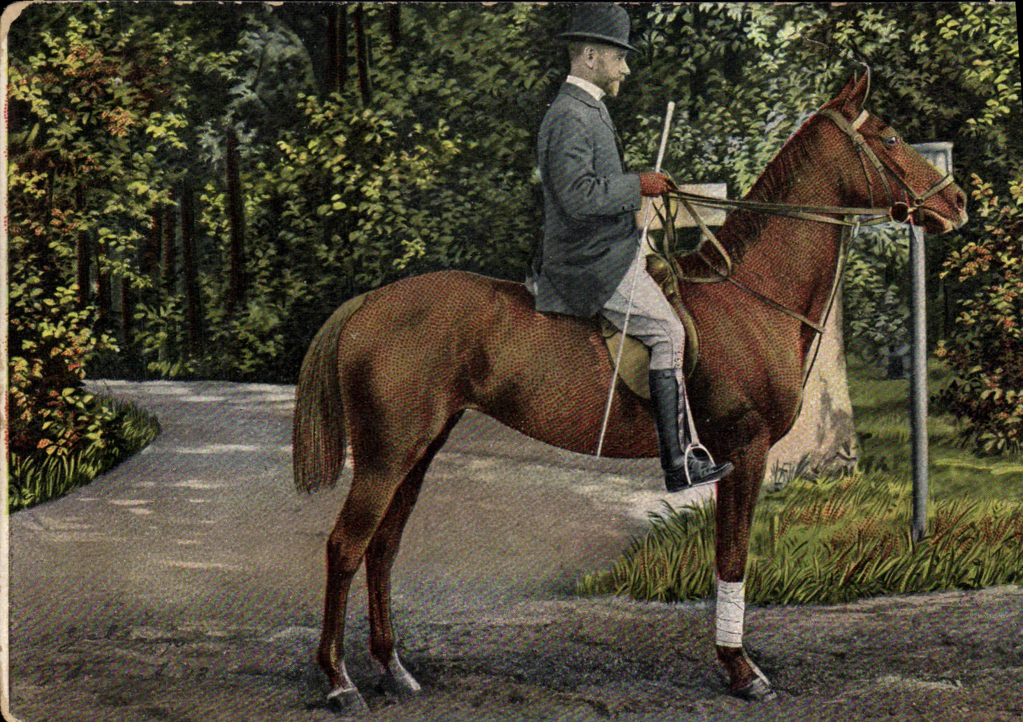 CPA Cheval Hippisme Equitation 