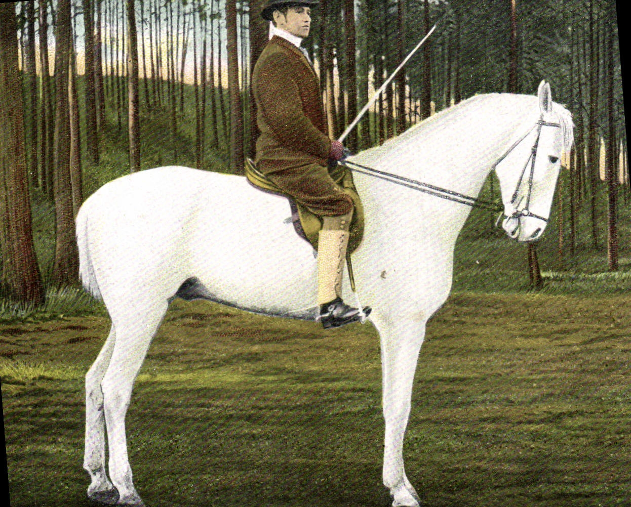 CPA Cheval Hippisme Equitation 