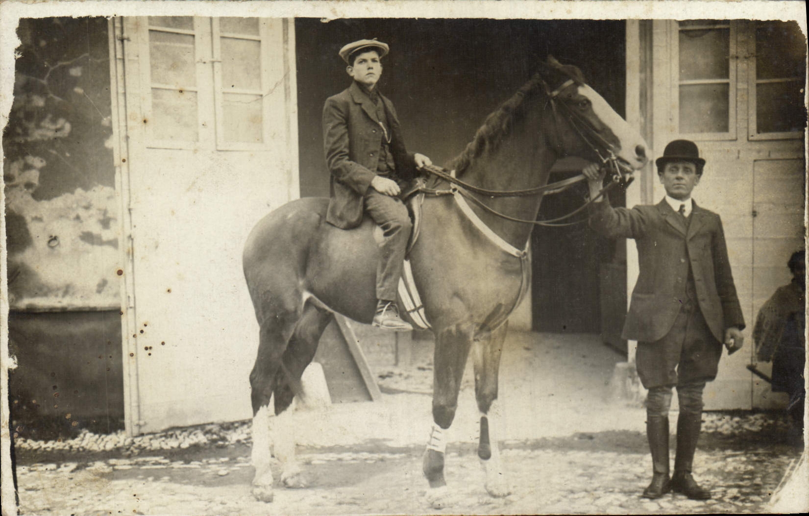 CARTE PHOTO Cheval Hippisme Equitation 
