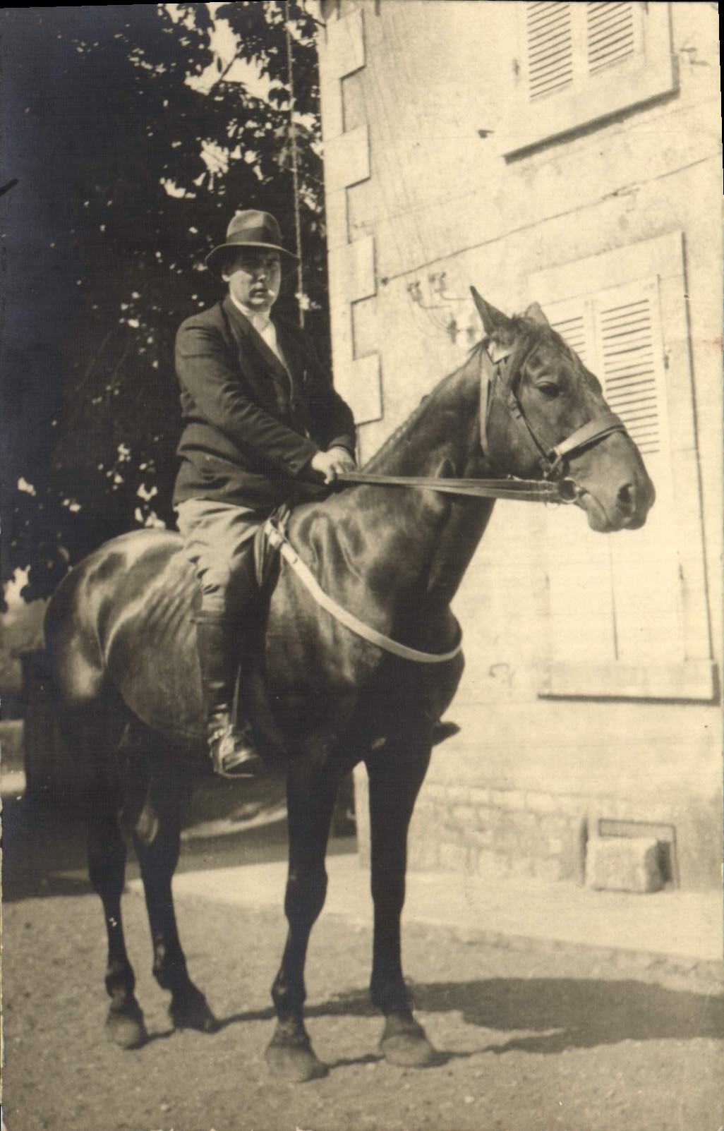 CARTE PHOTO Cheval Hippisme Equitation 