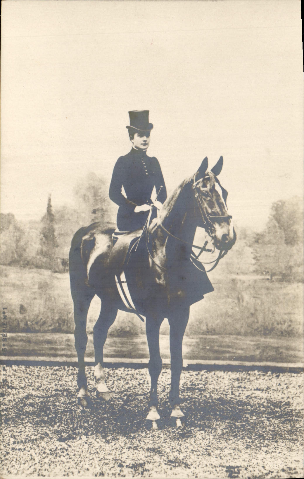 CARTE PHOTO Cheval Hippisme Equitation 