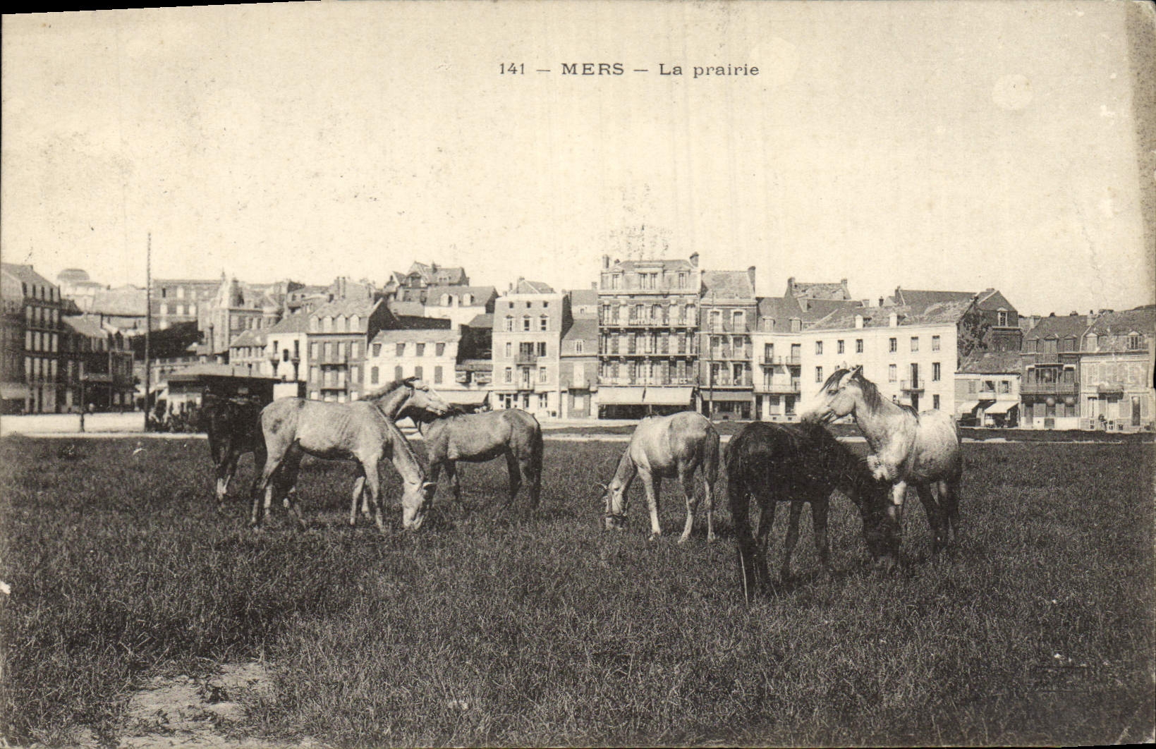 Postal Caballo Hípica Equitación Mares el prado