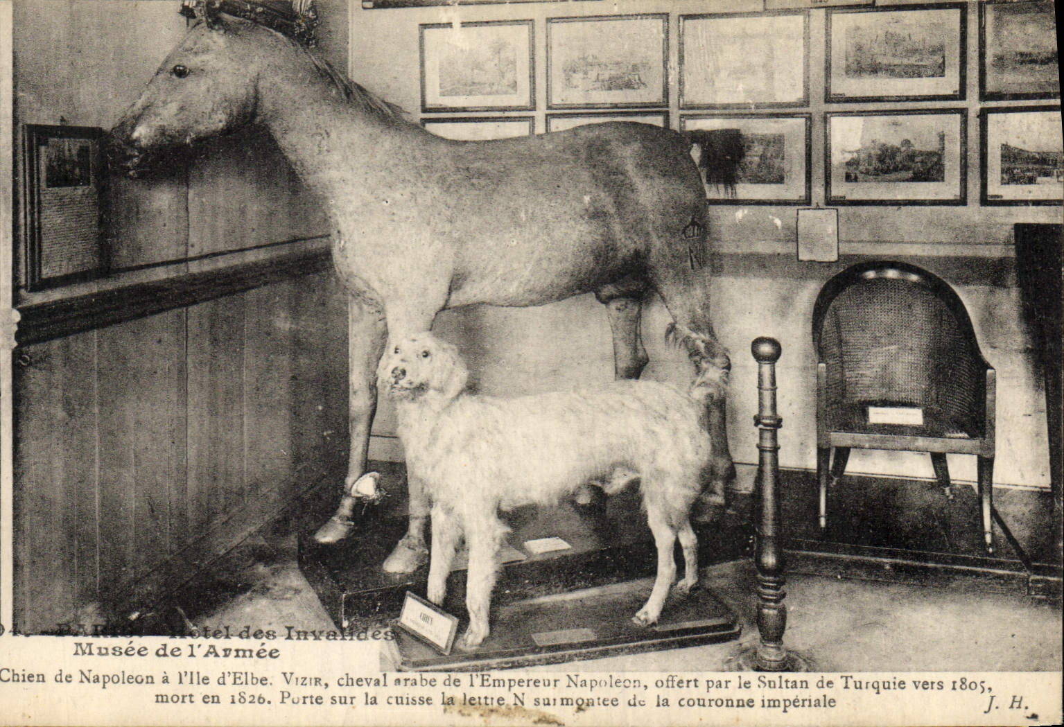 Postal Caballo Hípica Equitación París Vagada Armada del Hotel de los Inválidos Perro de Napoleón