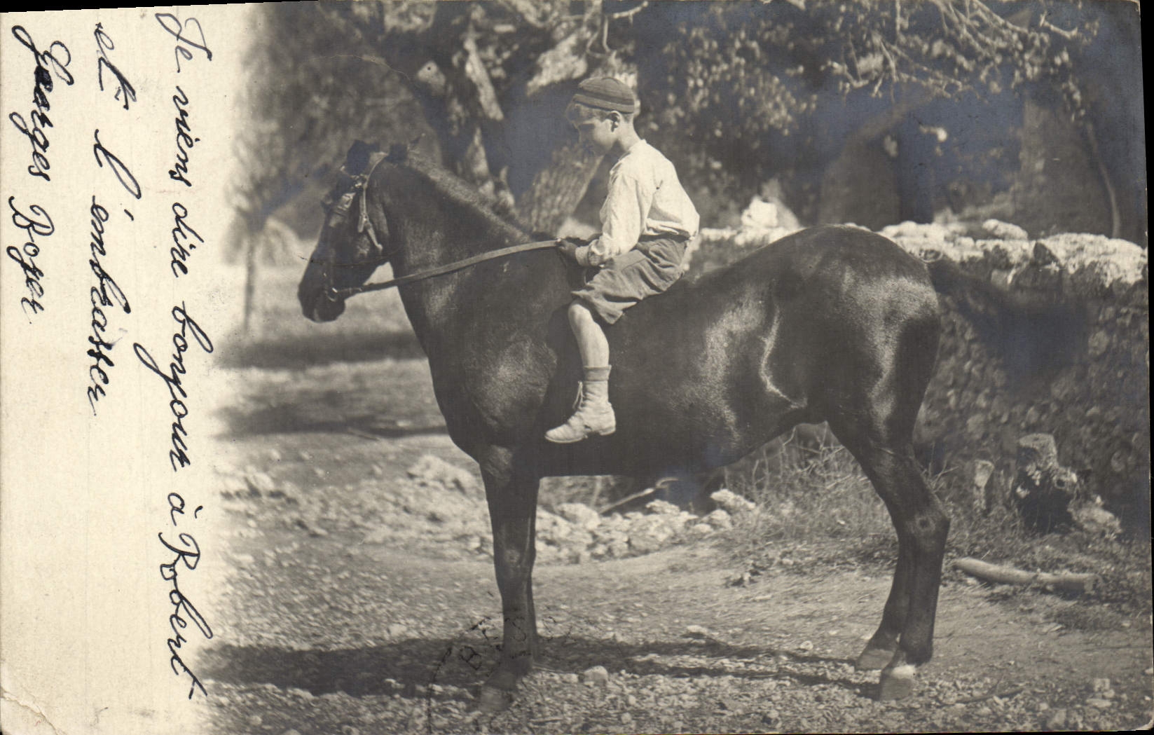 CARTE PHOTO Cheval Hippisme Equitation 
