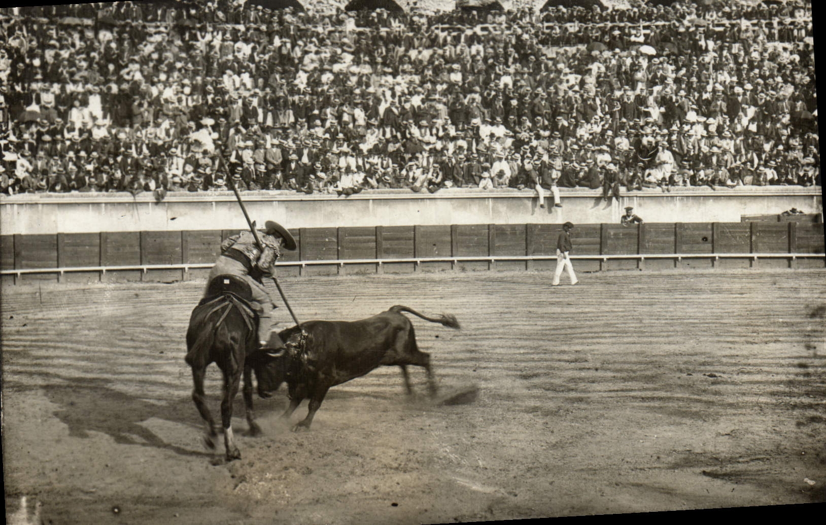CPA Corrida Course de taureaux 