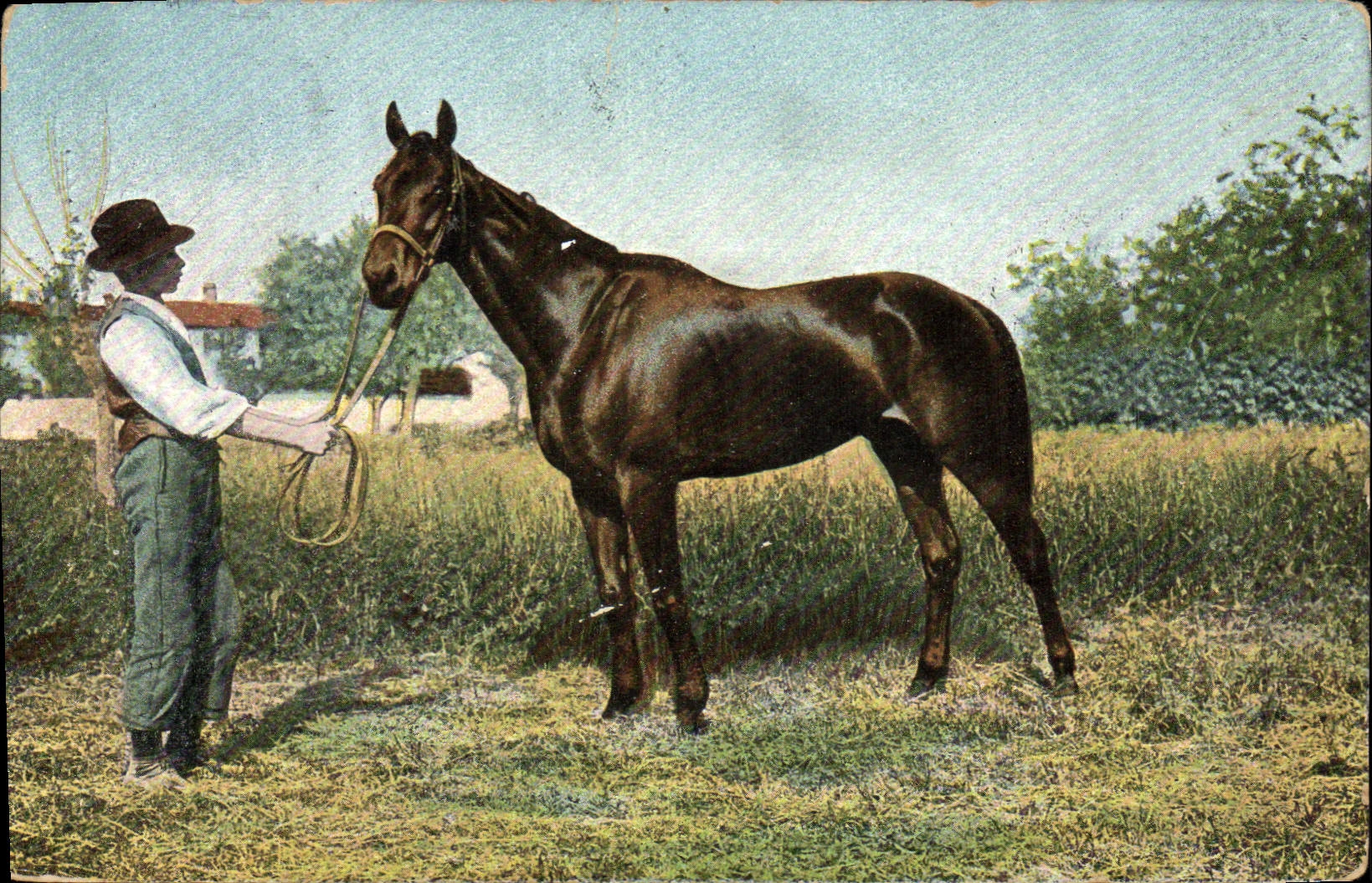 CPA Cheval Hippisme Equitation 