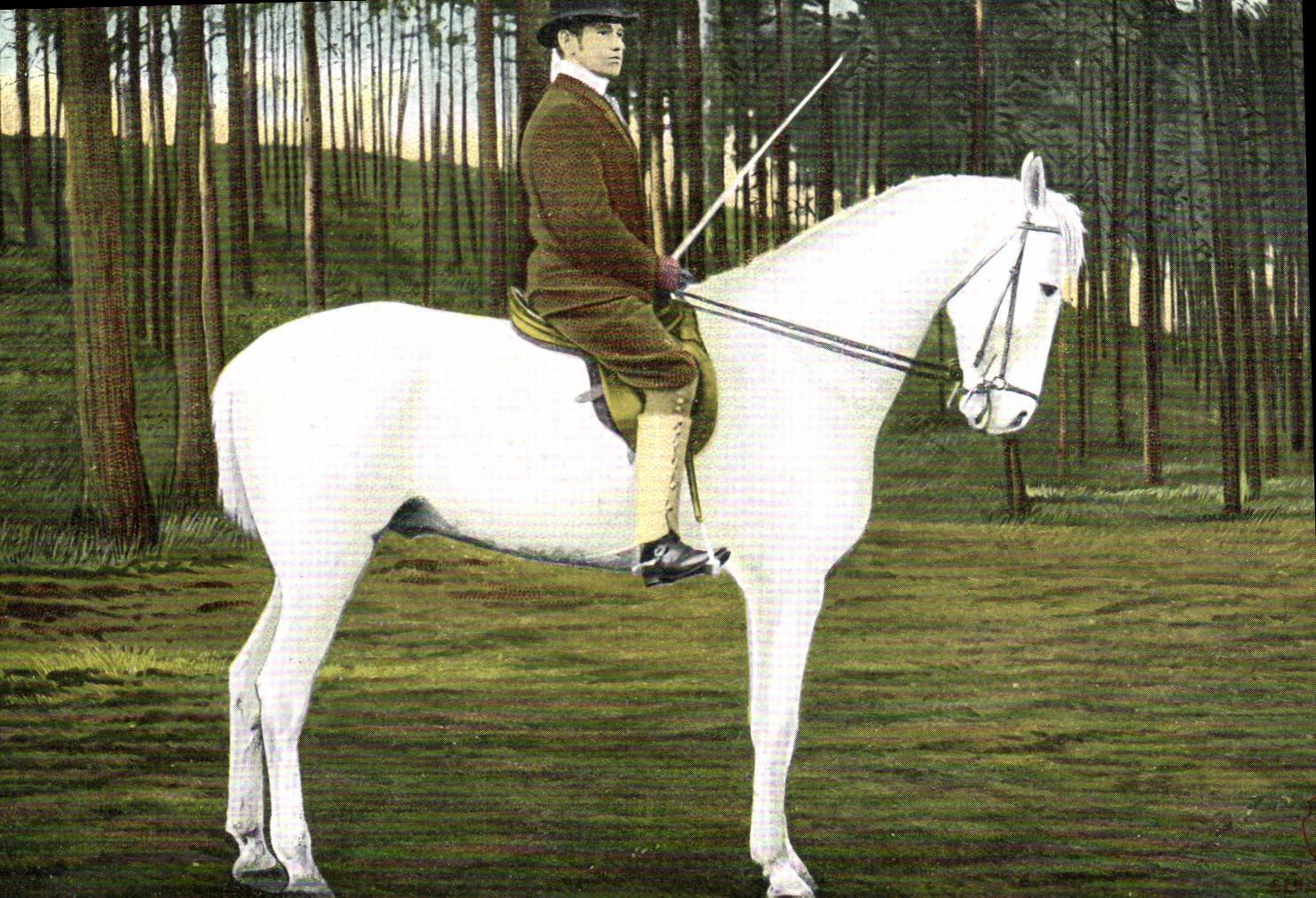 CPA Cheval Hippisme Equitation 