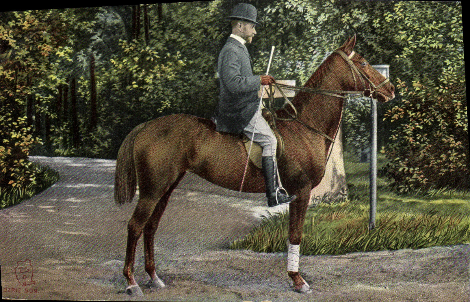 CPA Cheval Hippisme Equitation 