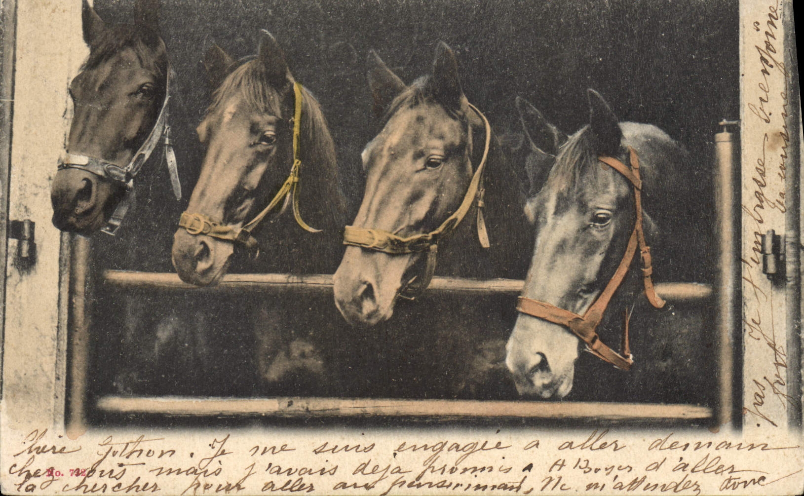 CPA Cheval Hippisme Equitation 